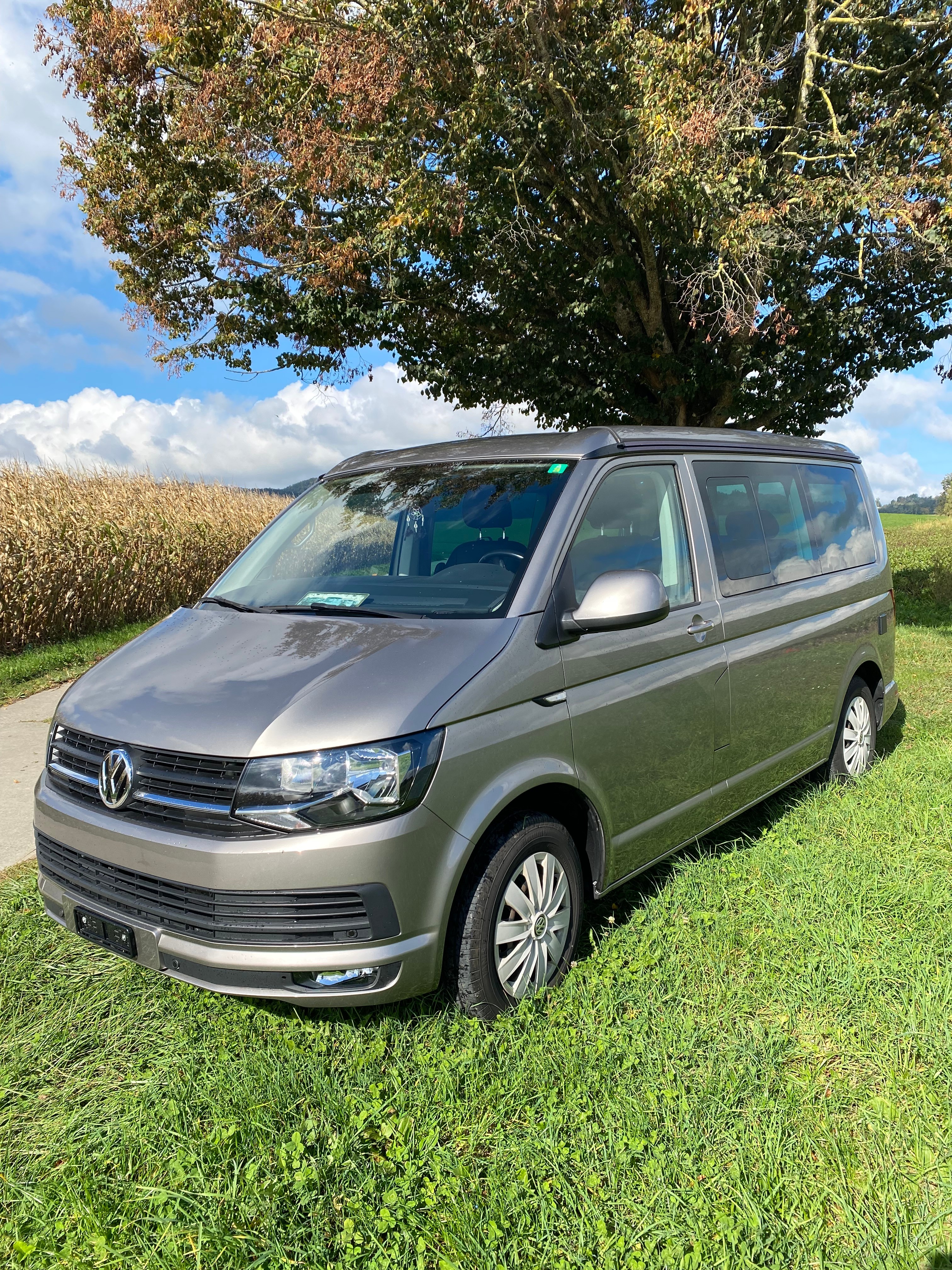 VW T6