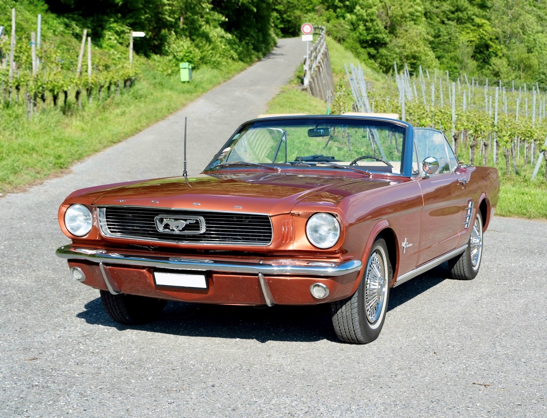 FORD MUSTANG 1966 200Cu-In Thriftpower Six