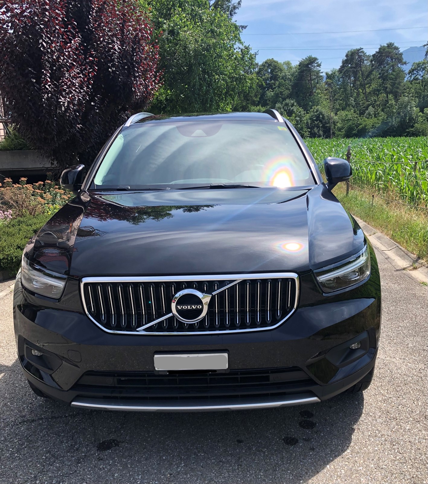 VOLVO XC40 T5 TwE Inscription DCT