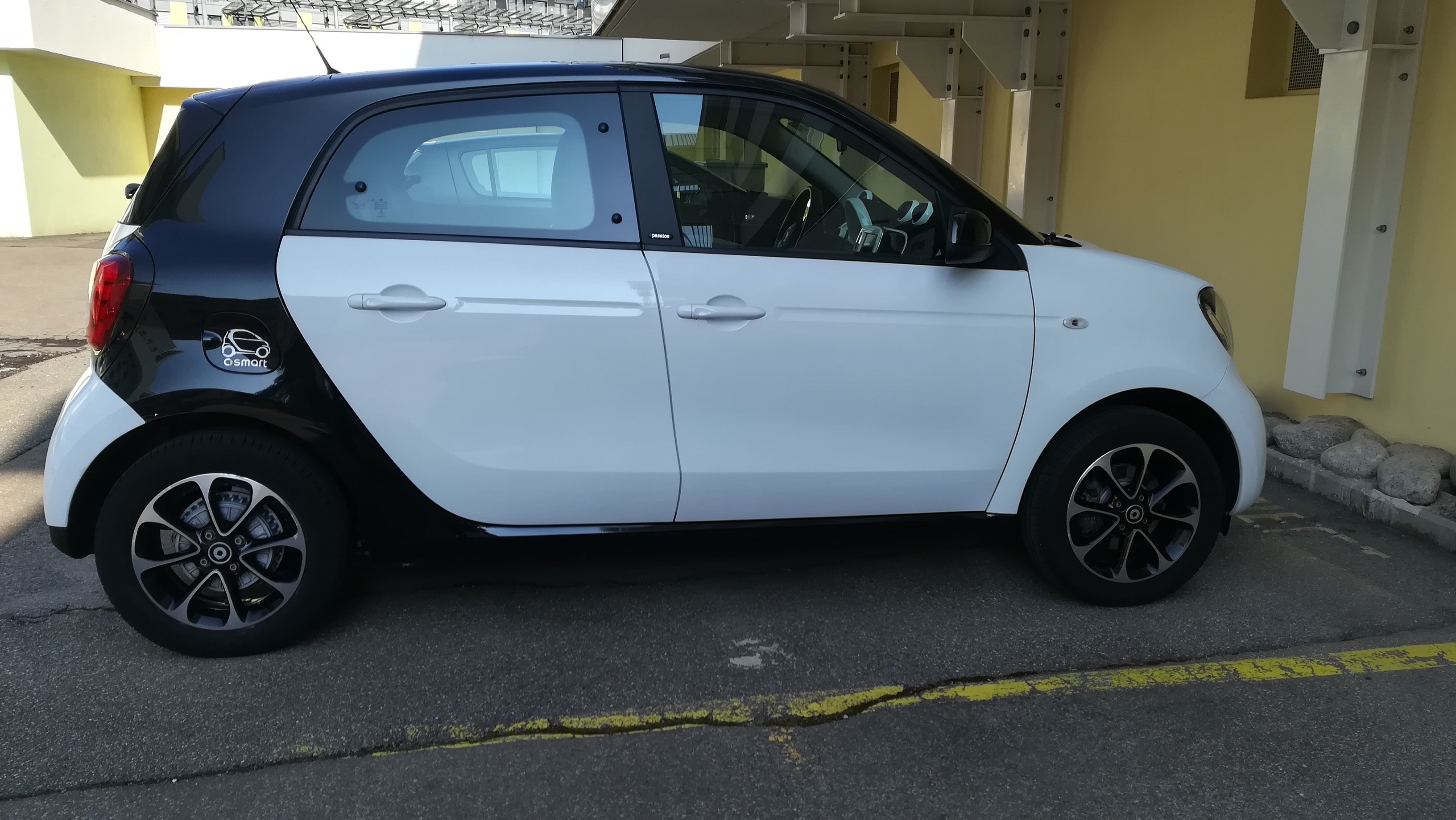 SMART forfour passion