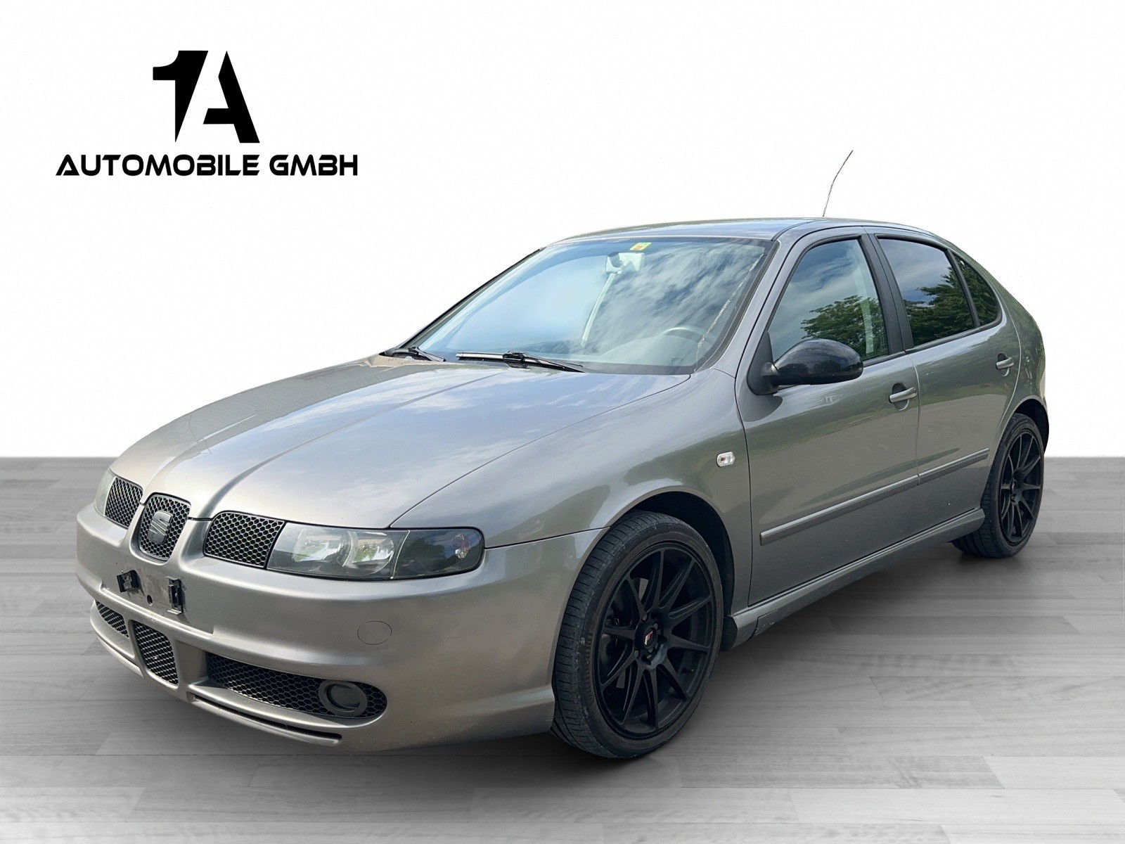 SEAT Leon 1.9 TDI Top Sport