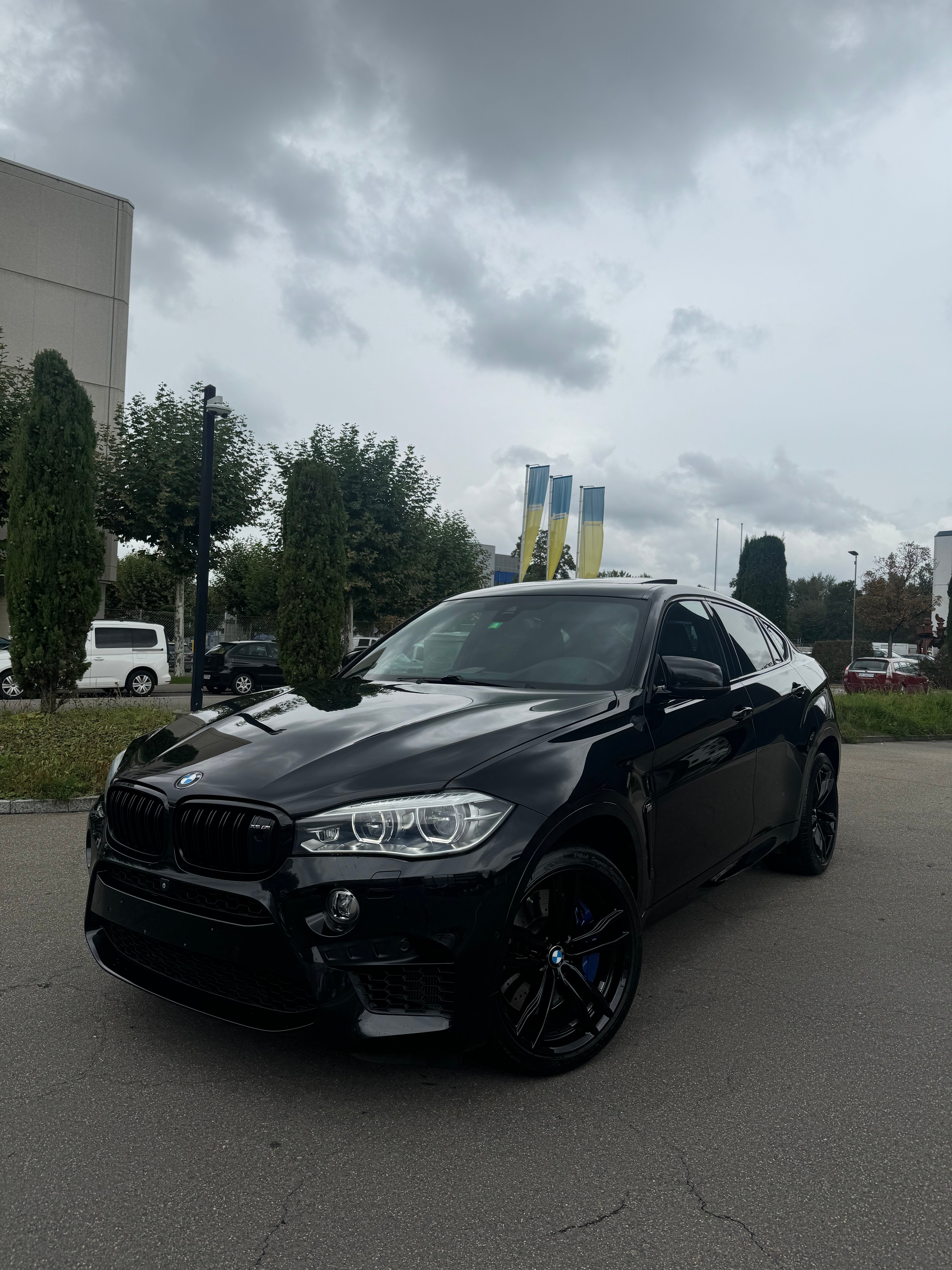 BMW X6M Performance