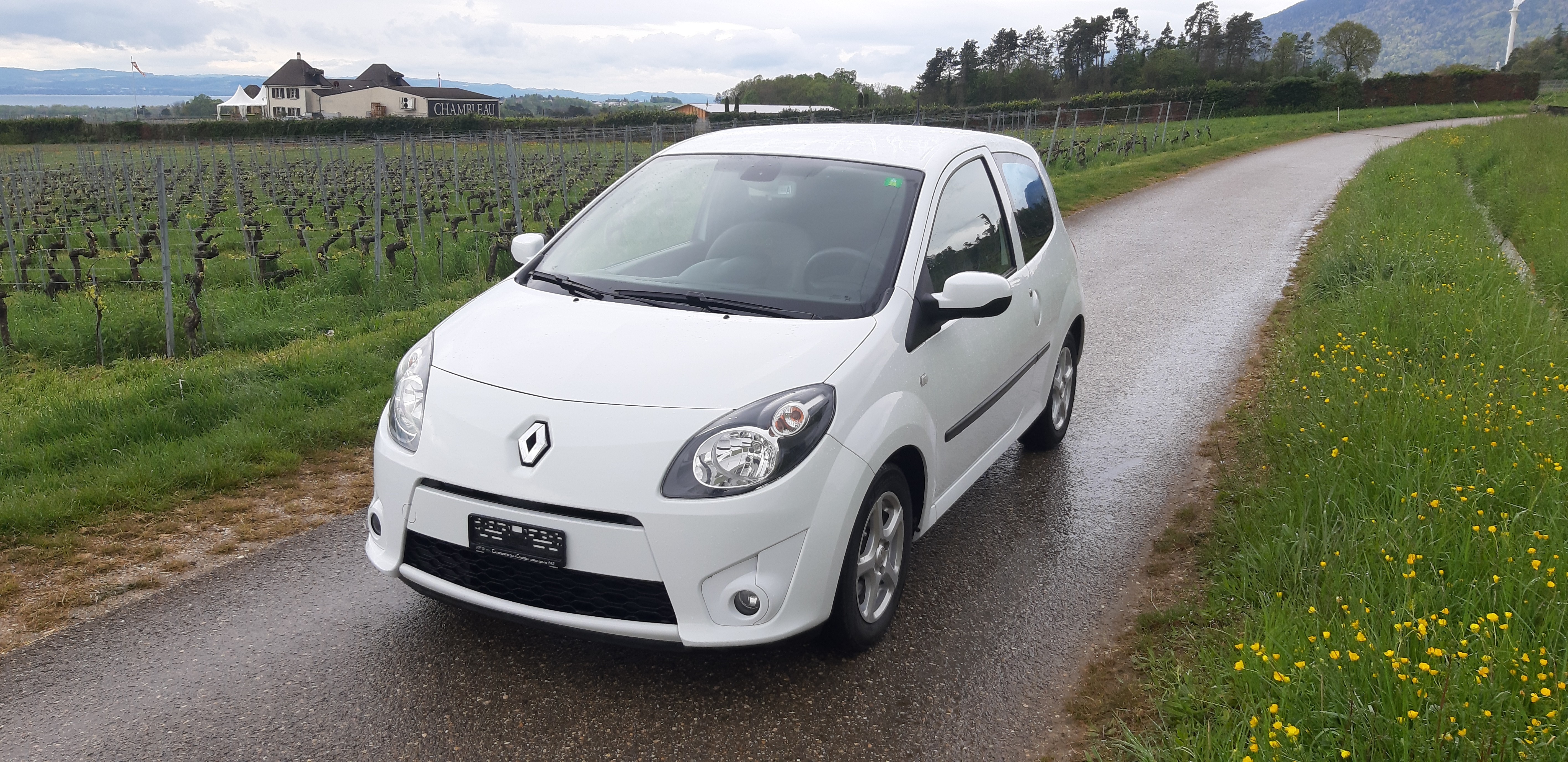 RENAULT Twingo 1.2 16V Dynamique Quickshift