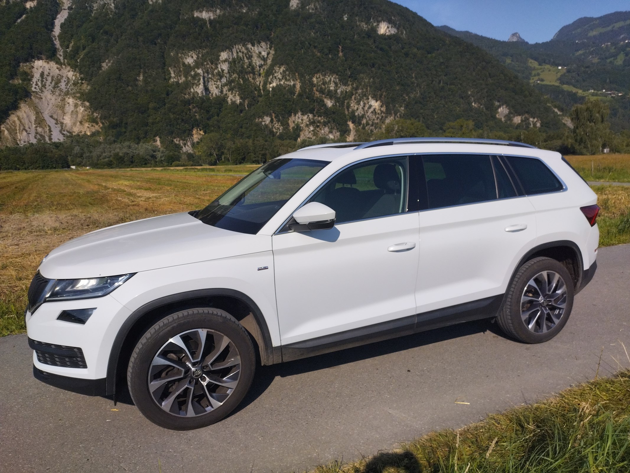 SKODA Kodiaq 2.0 TSI DSG Drive 4x4