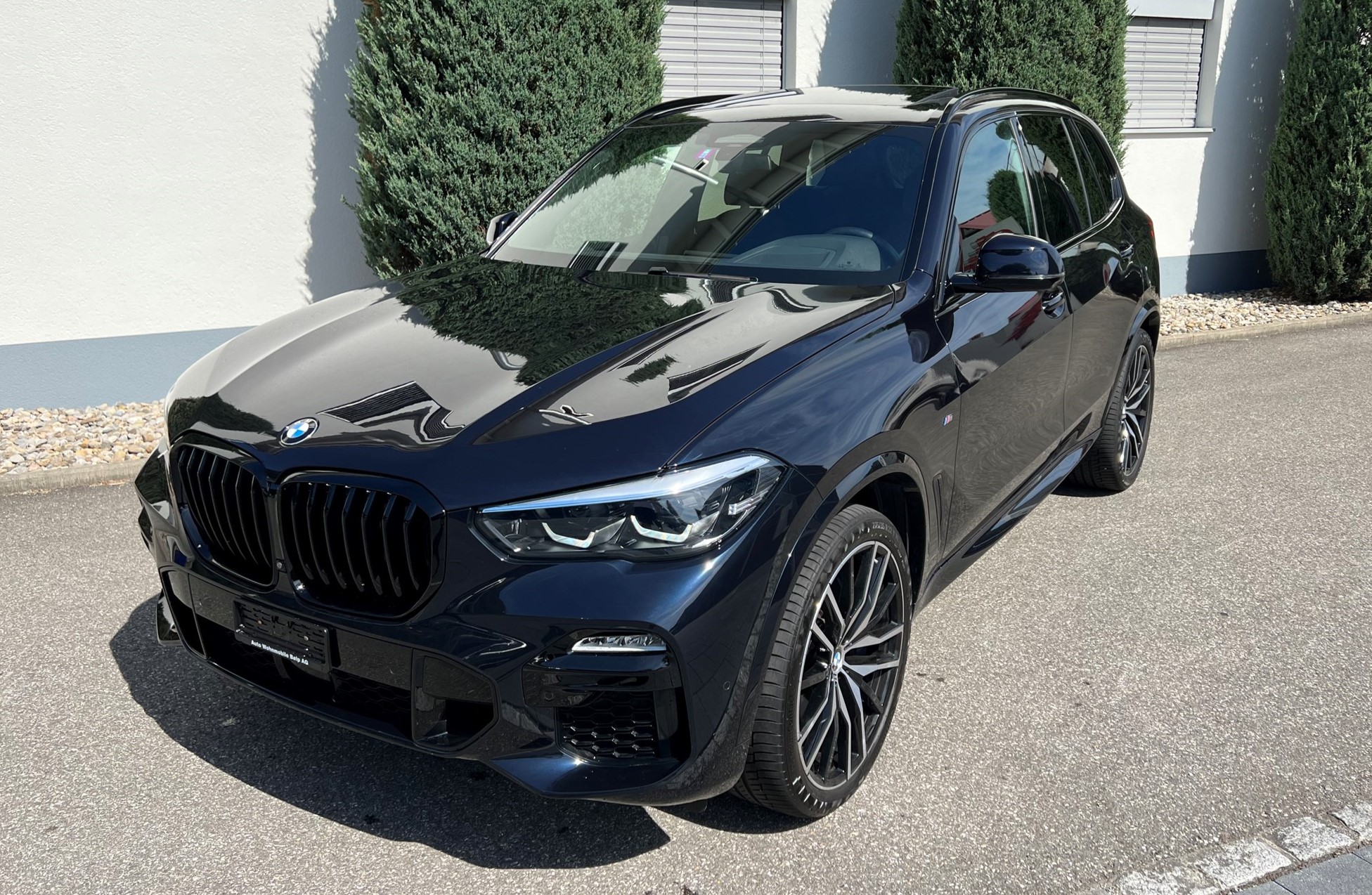 BMW X5 xDrive 30d xLine Steptronic