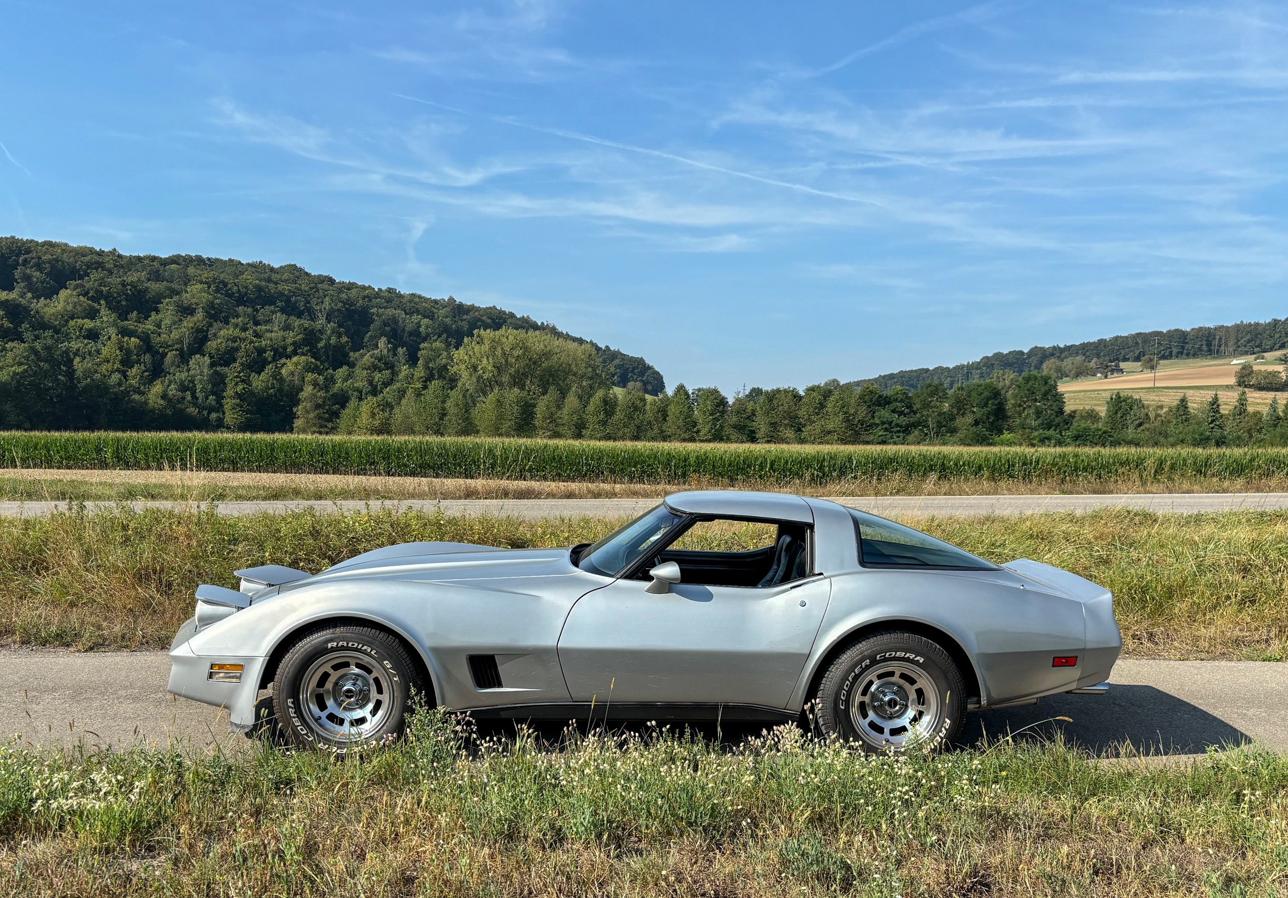 CHEVROLET CORVETTE C3 Targadach