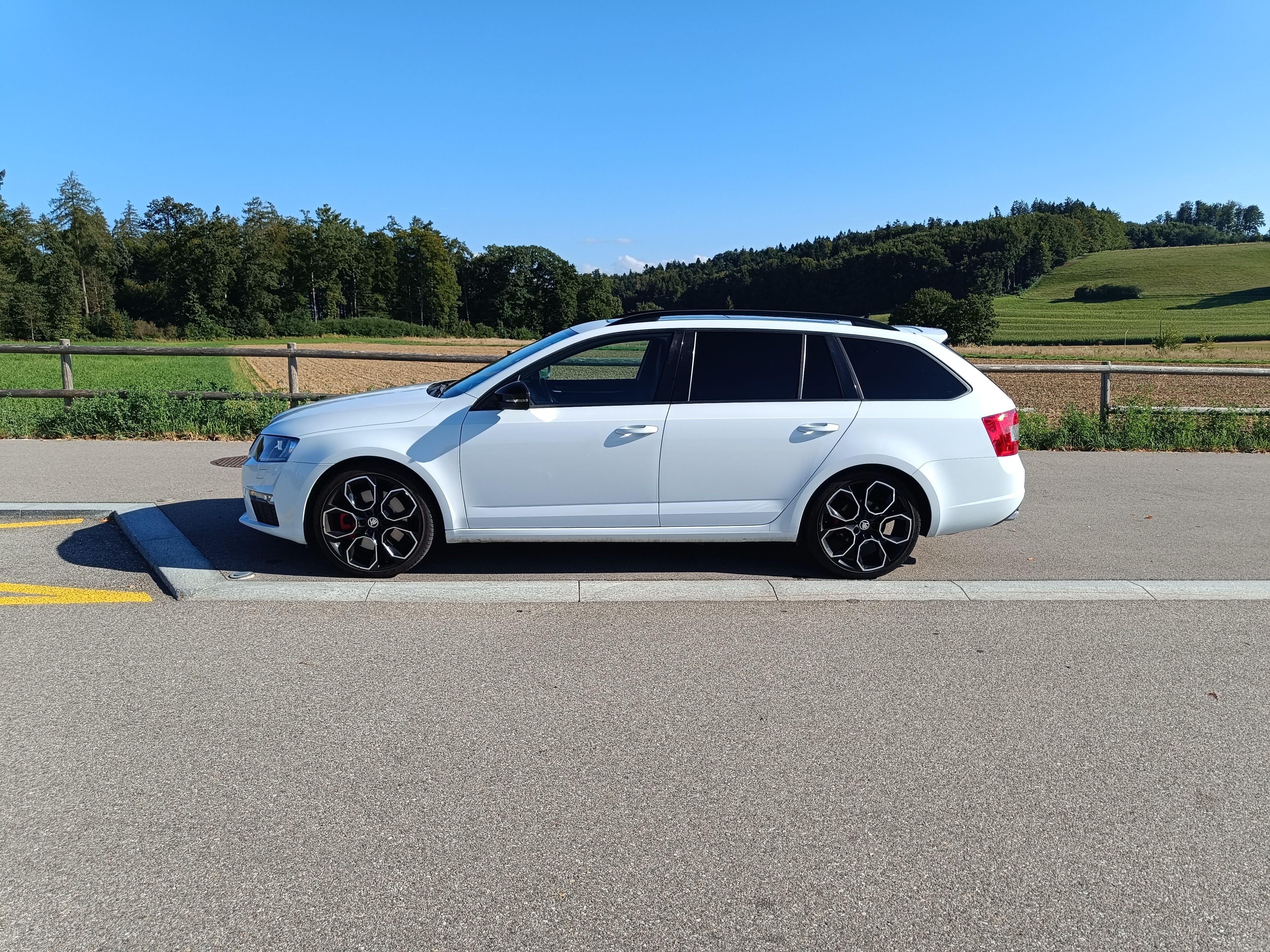 SKODA Octavia 2.0 TSI RS DSG