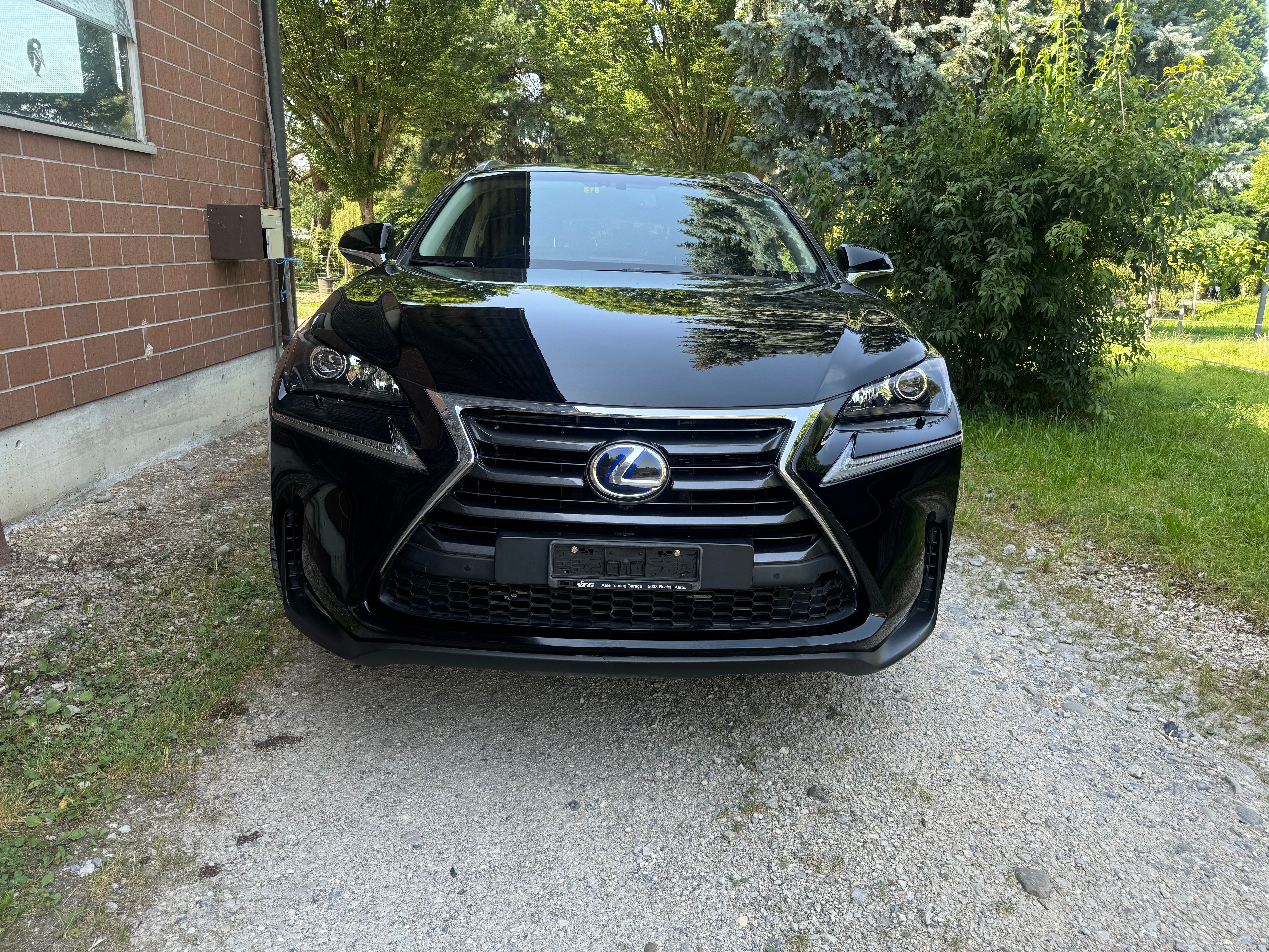 LEXUS NX 300h comfort E-Four Automatic