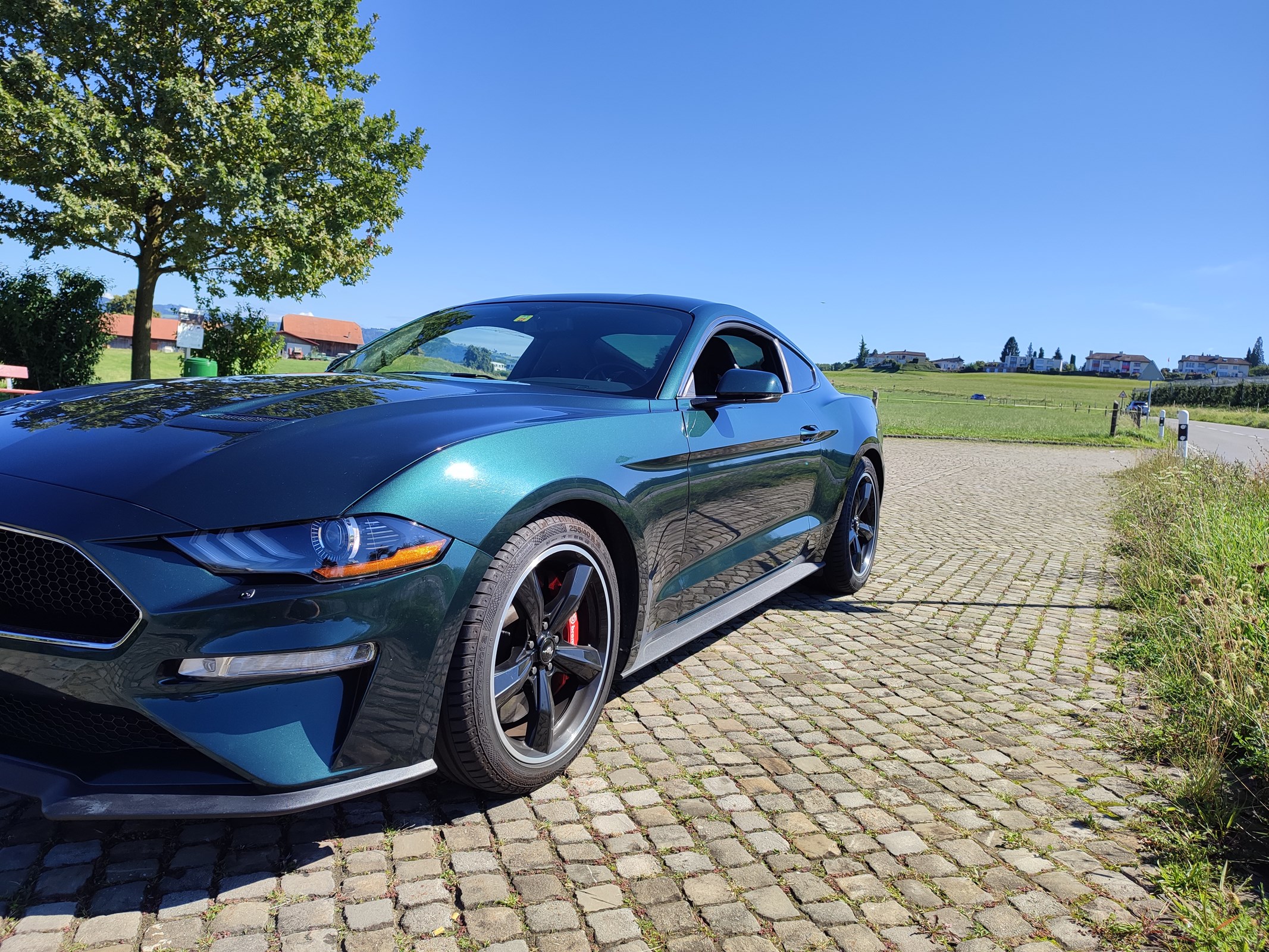 FORD Mustang Fastback 5.0 V8 BULLITT