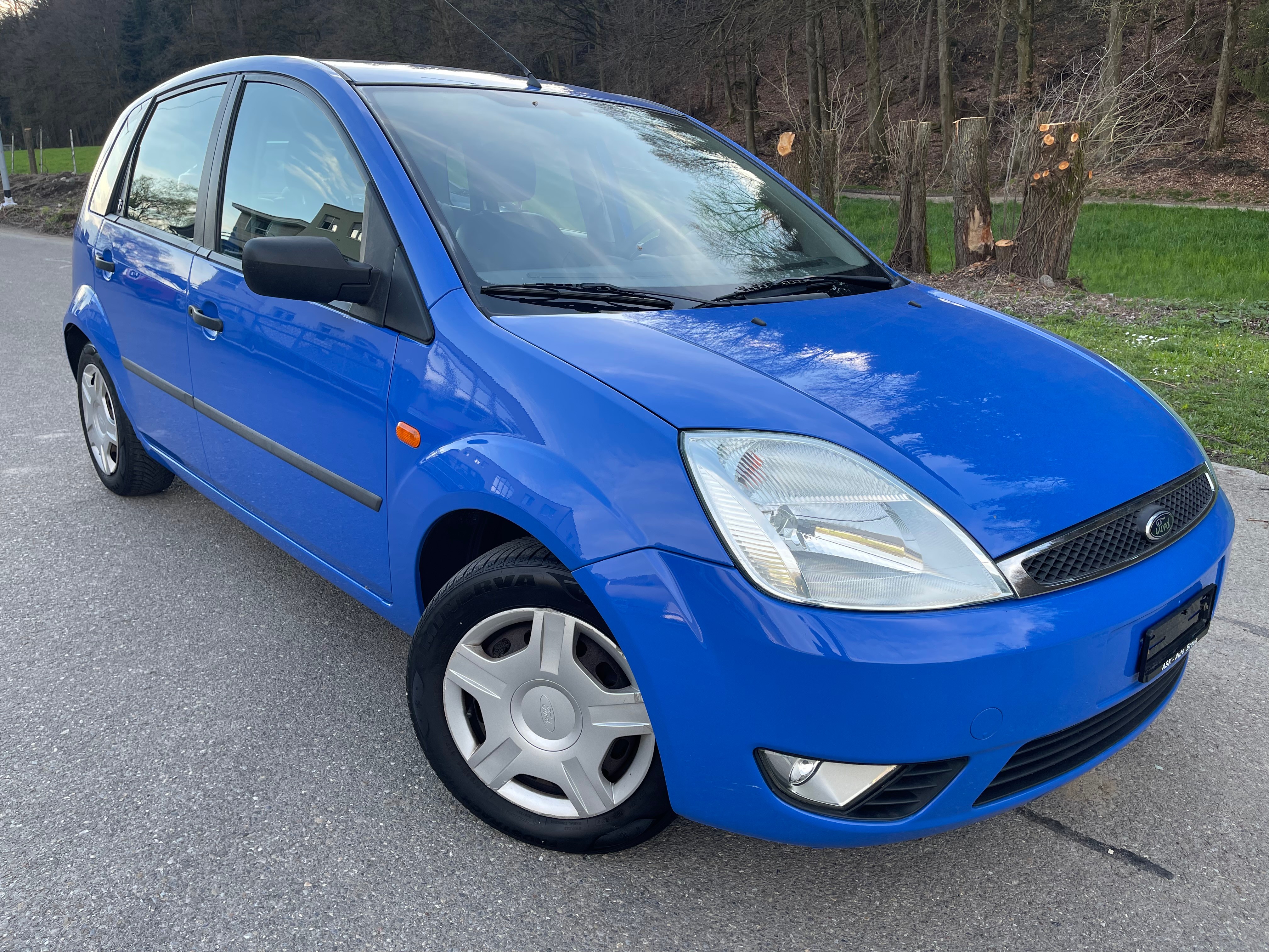 FORD Fiesta 1.6 16V Trend