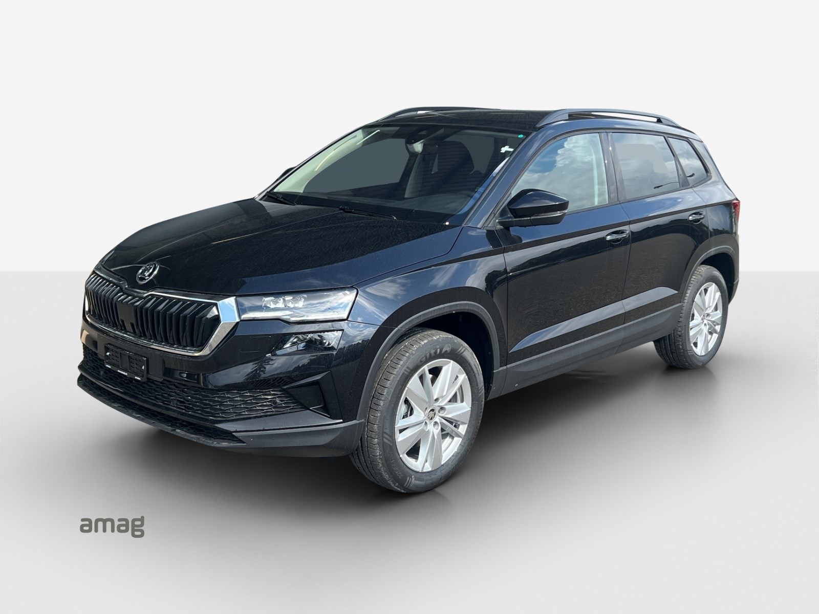 SKODA Karoq 2.0 TDI CR Selection 4x4 DSG