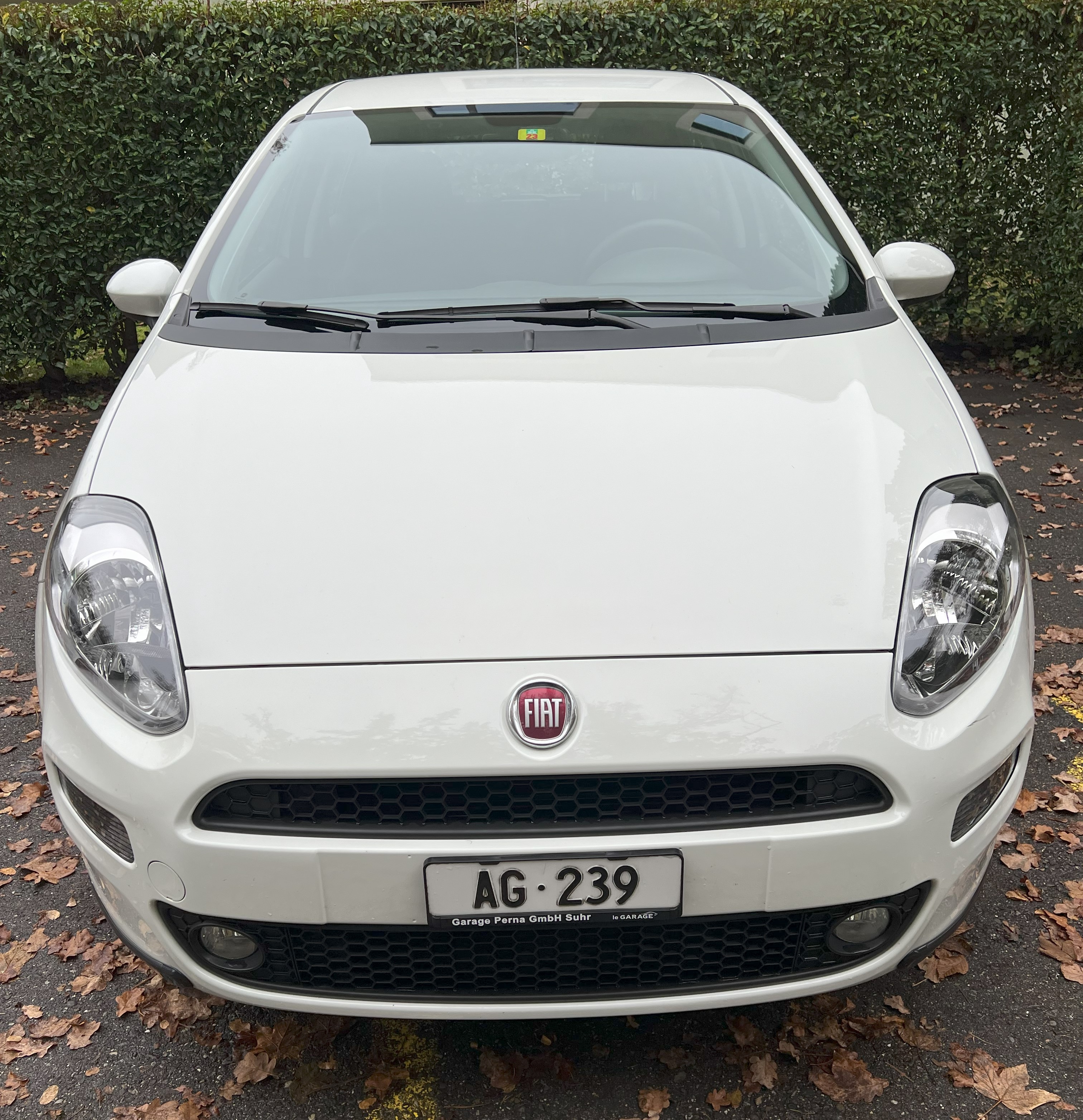 FIAT Punto 1.2 MyStyle