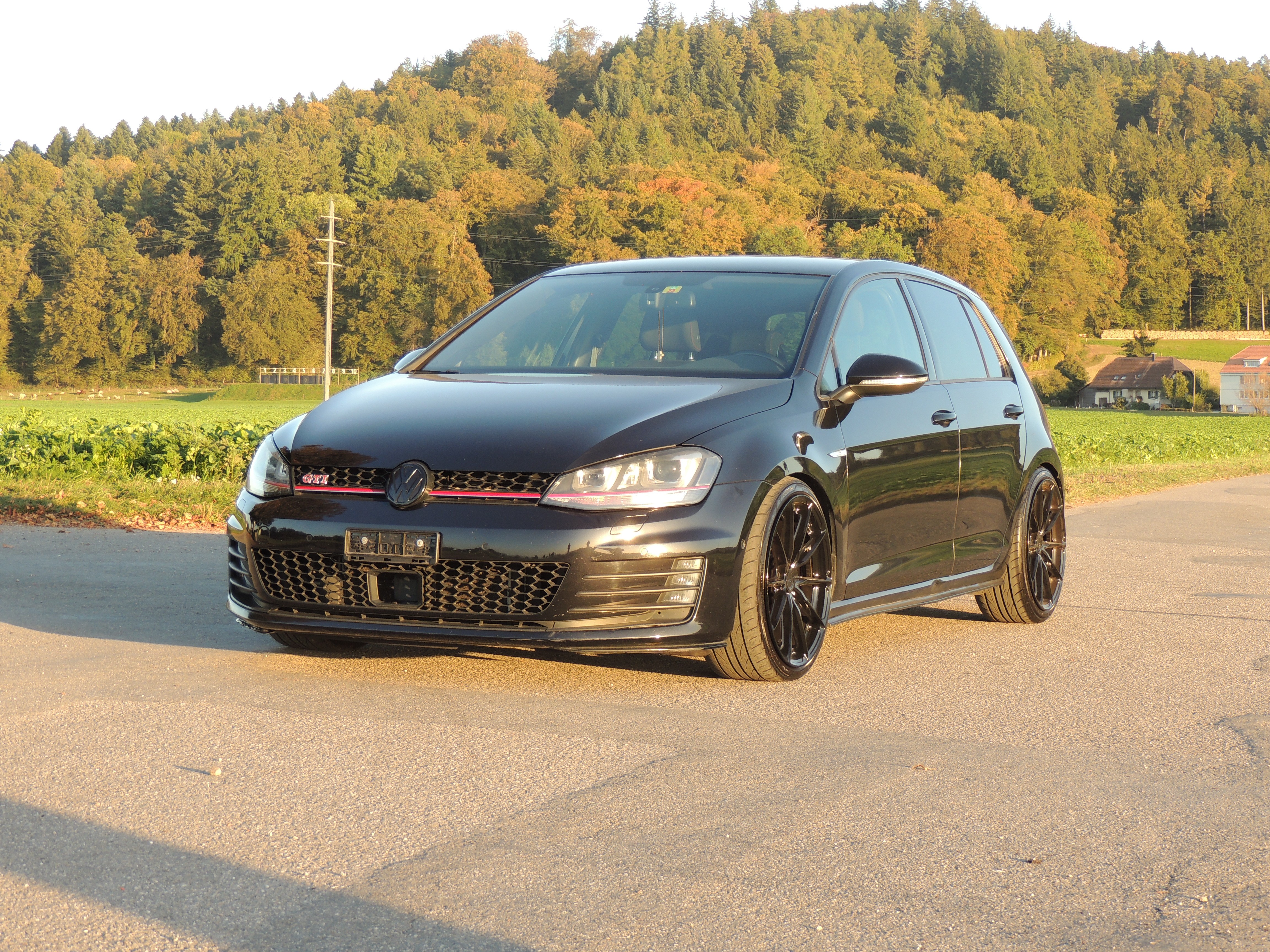 VW Golf 2.0 TSI GTI Performance