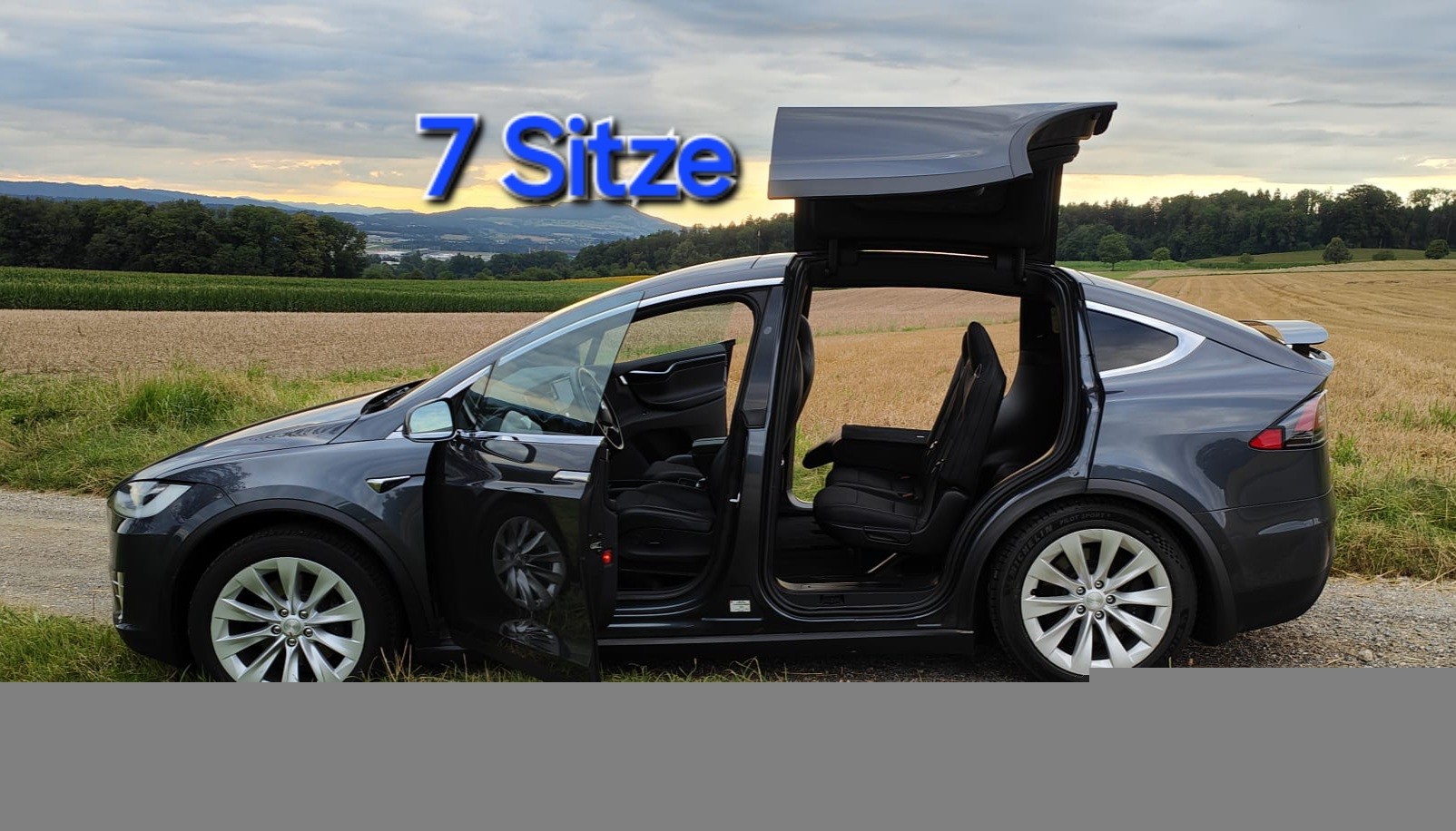 TESLA Model X 100 D 7 Sitze Long Range