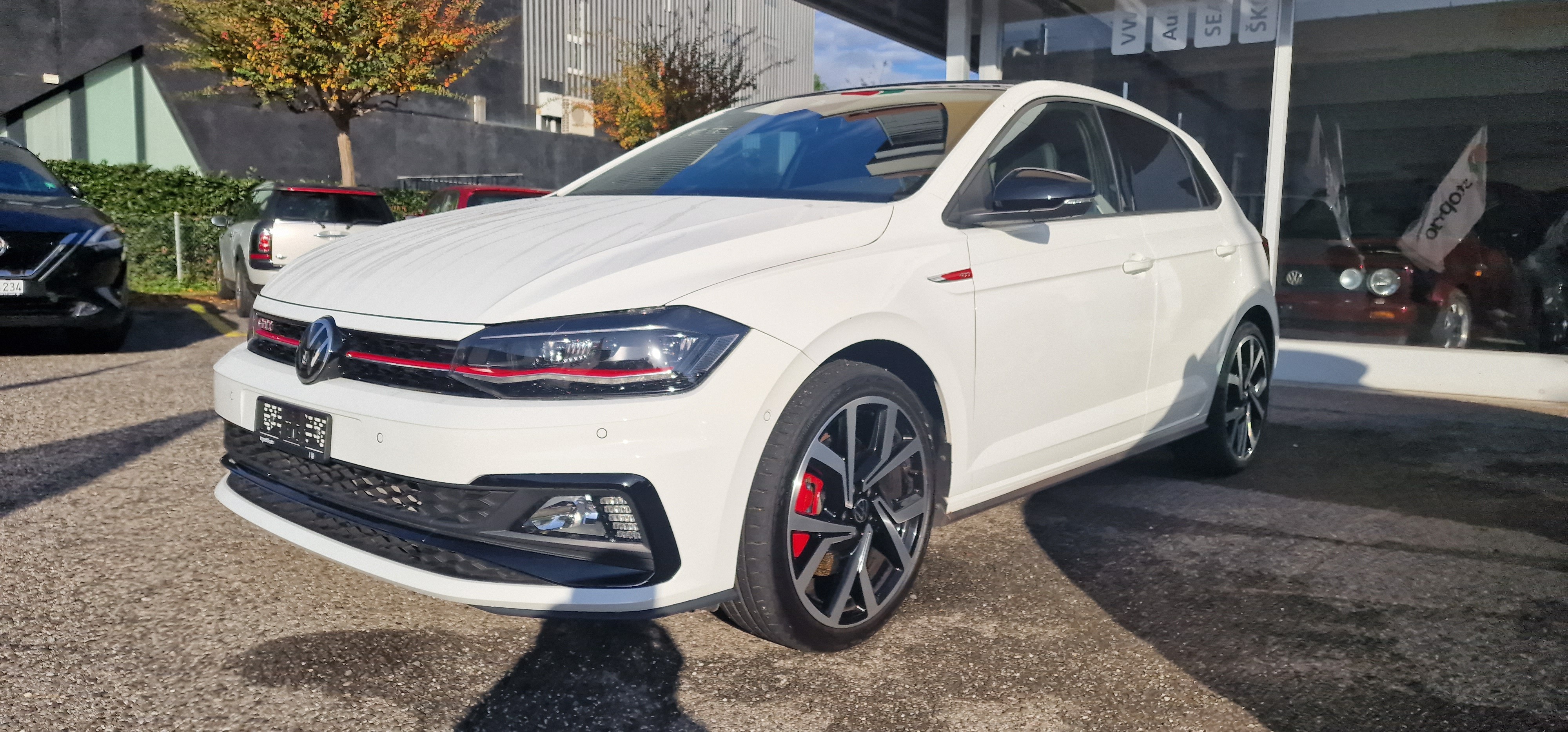 VW Polo 2.0 TSI GTI DSG