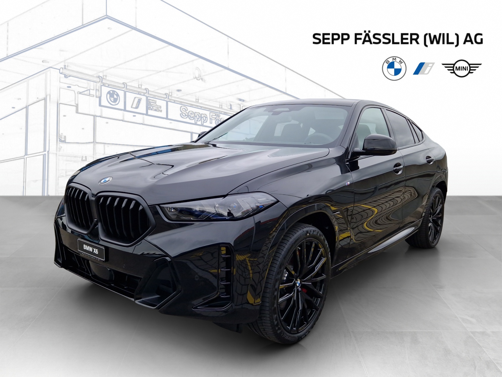 BMW X6 xDrive 48V 30d M Sport Pro Steptronic