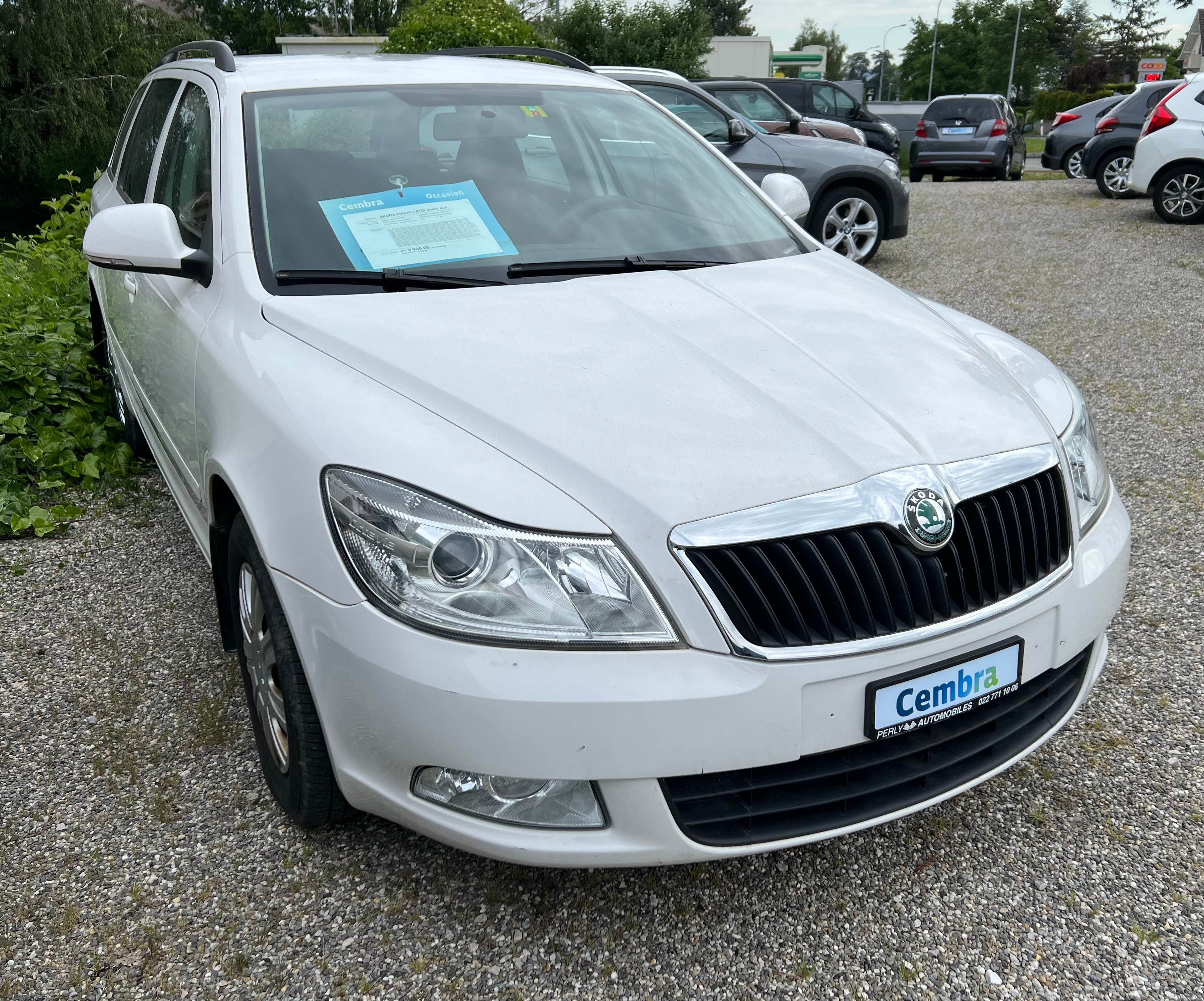 SKODA Octavia 1.6TDI Ambit. 4x4