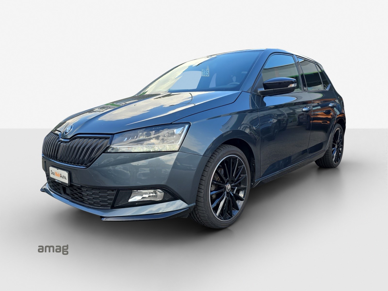 SKODA Fabia 1.0 MPI Monte Carlo