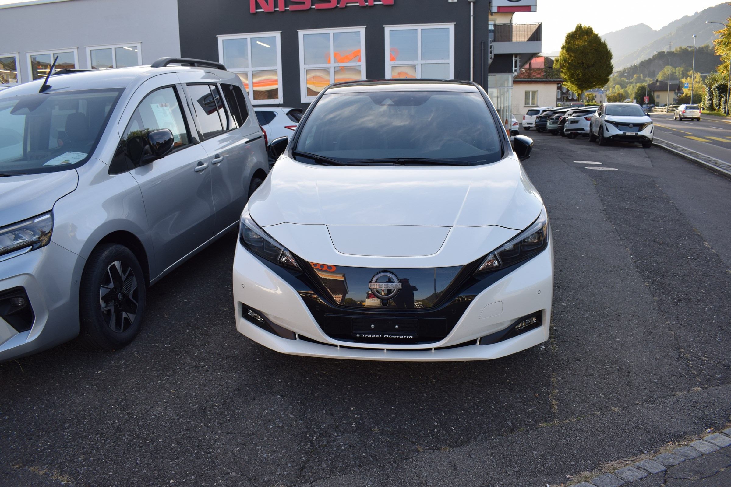 NISSAN Leaf e+ Tekna (incl. battery)