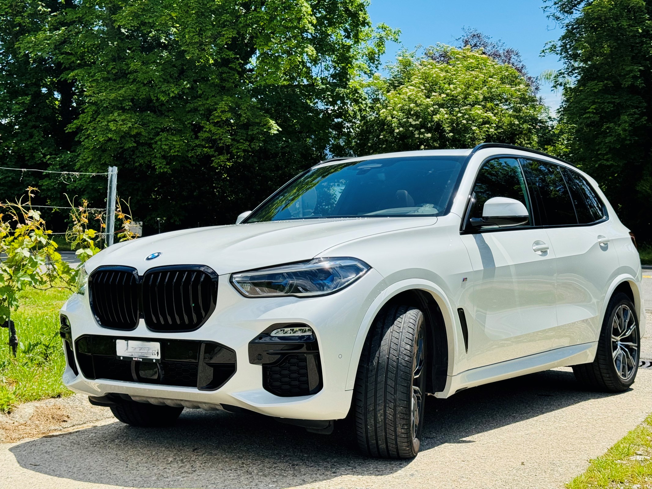 BMW X5 xDrive 30d Steptronic