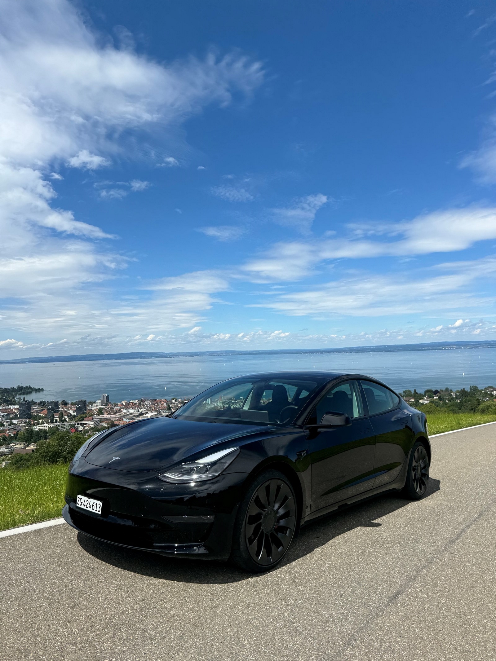 TESLA Model 3 Performance Dual Motor AWD