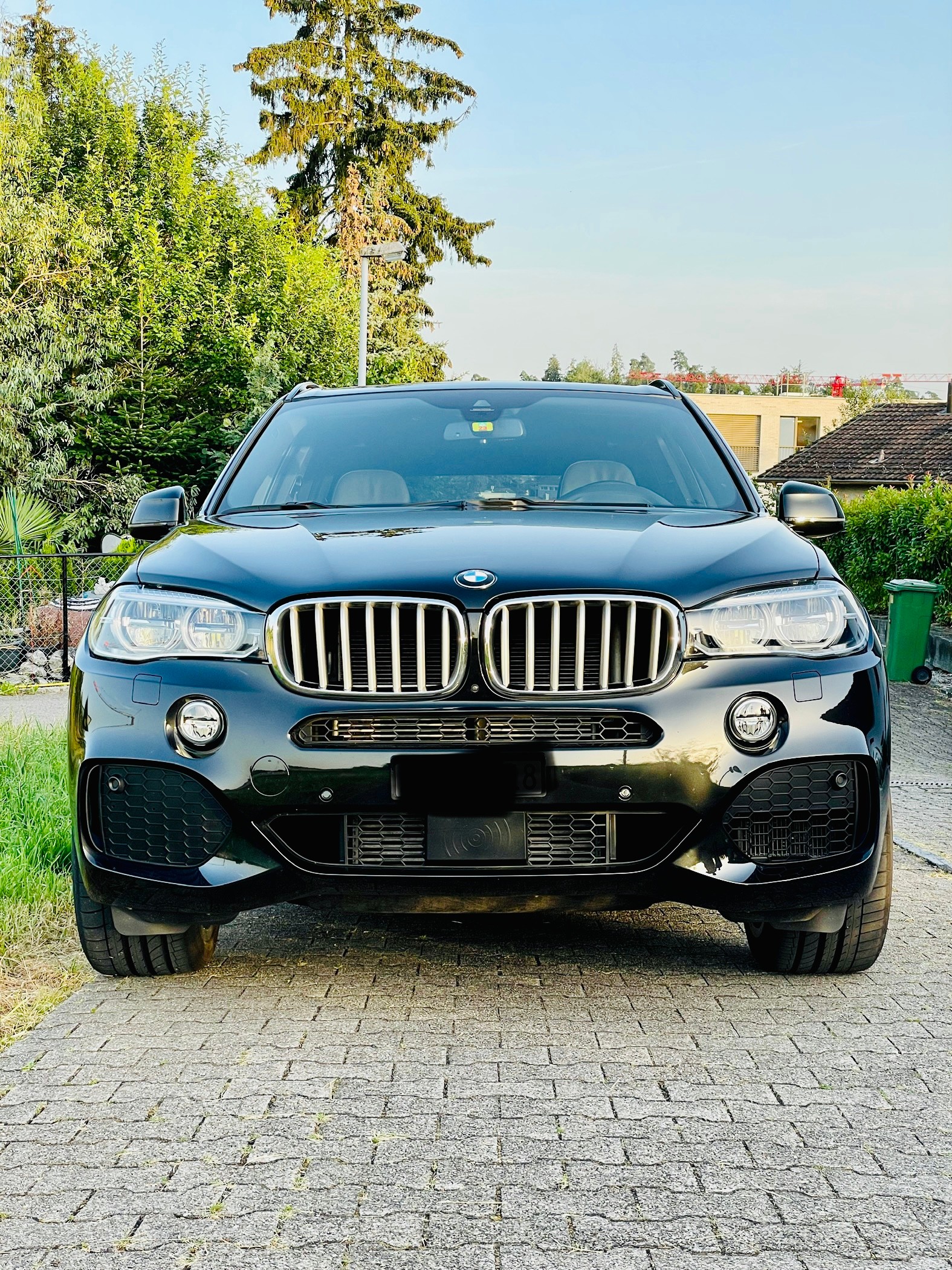 BMW X5 xDrive 40e iPerformance Pure M Sport Steptronic