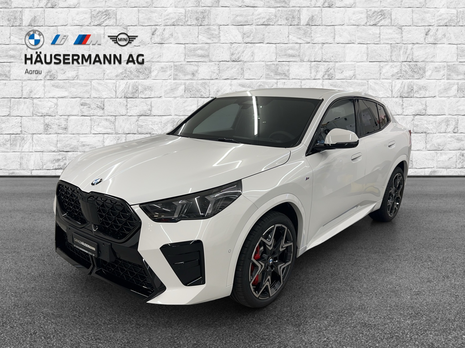 BMW X2 xDrive 20d 48V M Sport Pro