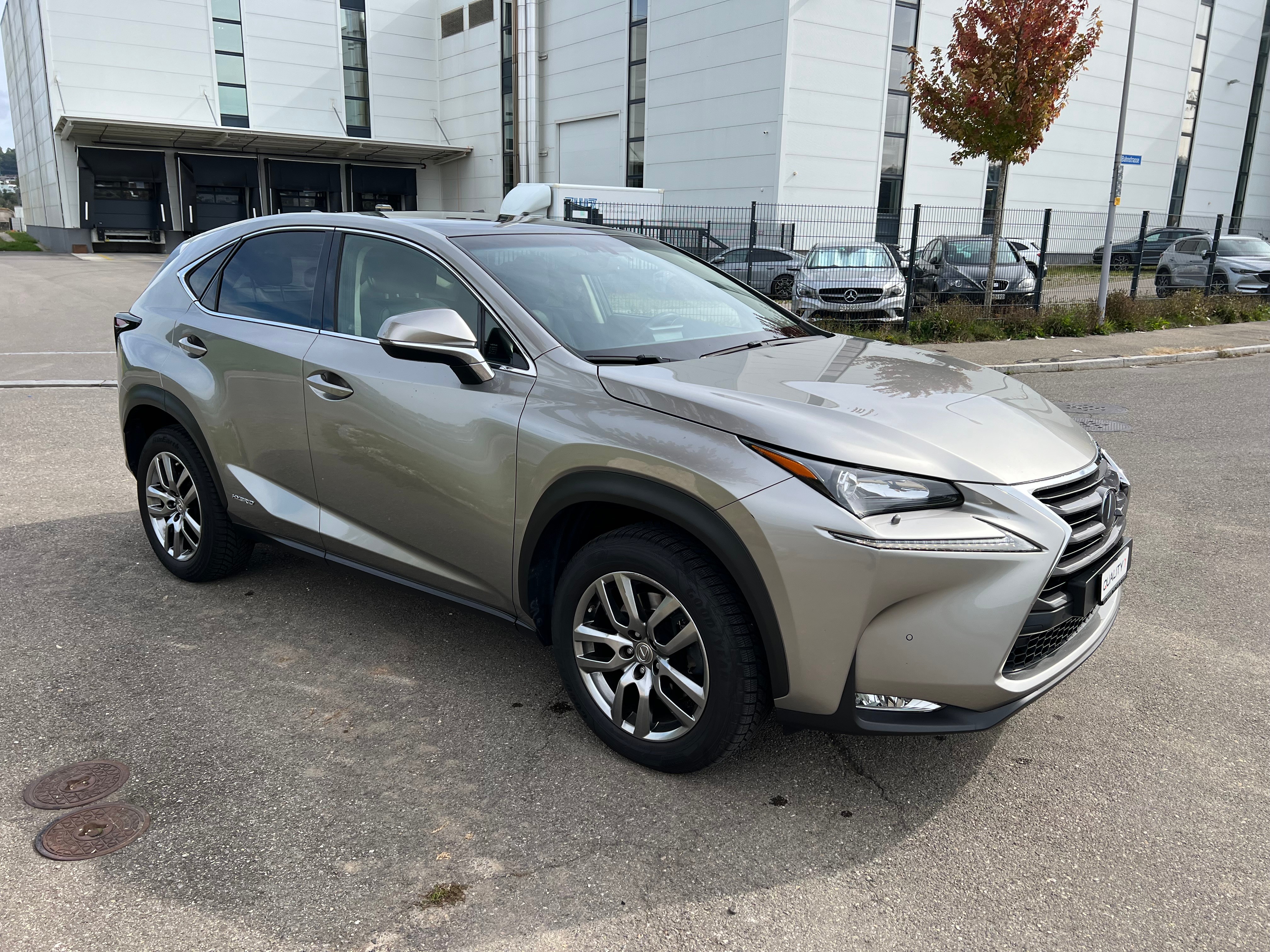 LEXUS NX 300h comfort E-Four Automatic