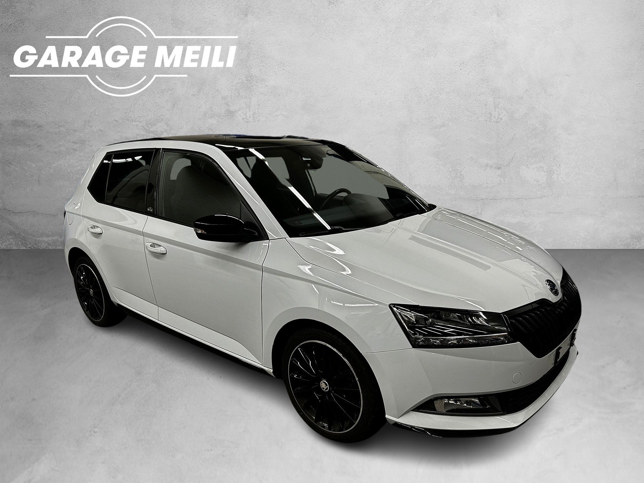 SKODA Fabia 1.0 MPI Monte Carlo