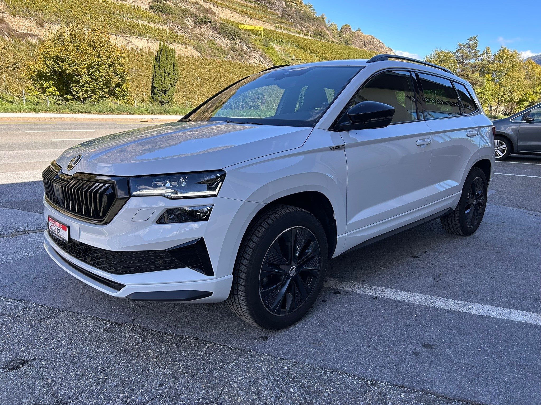 SKODA Karoq 2.0 TSI SportLine 4x4 DSG