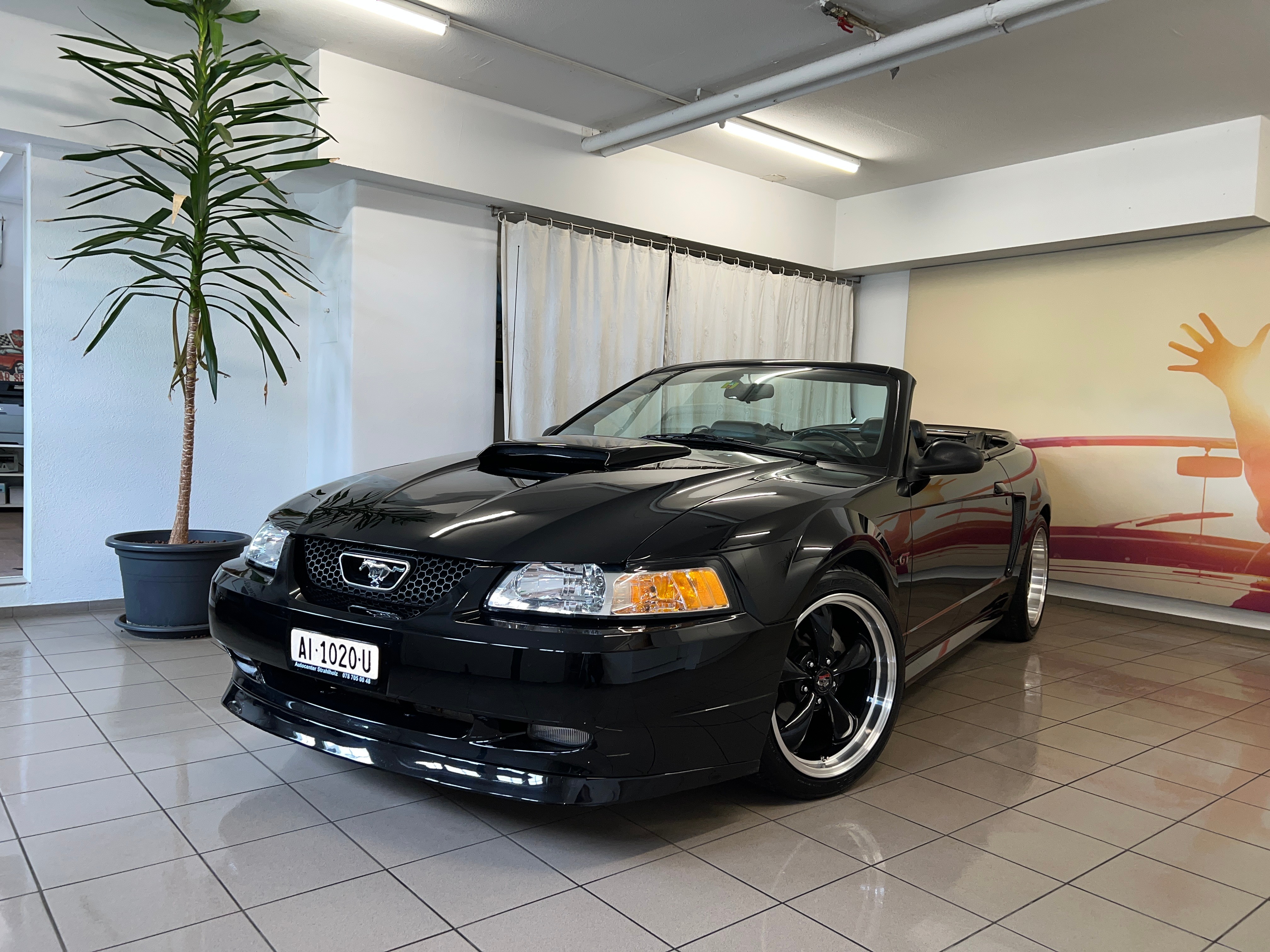 FORD Mustang GT V8 Cabrio