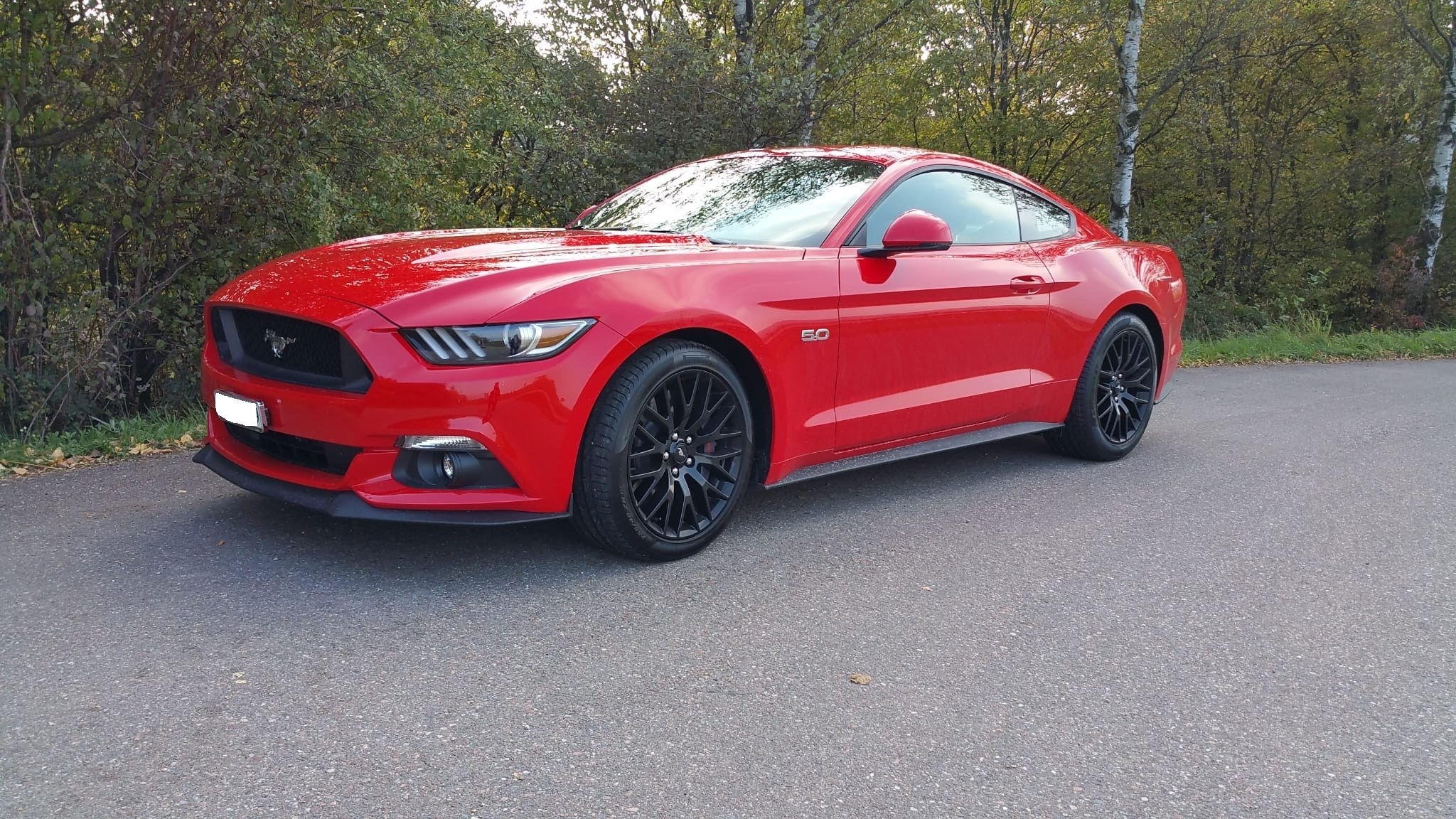 FORD Mustang Fastback 5.0 V8 GT Automat