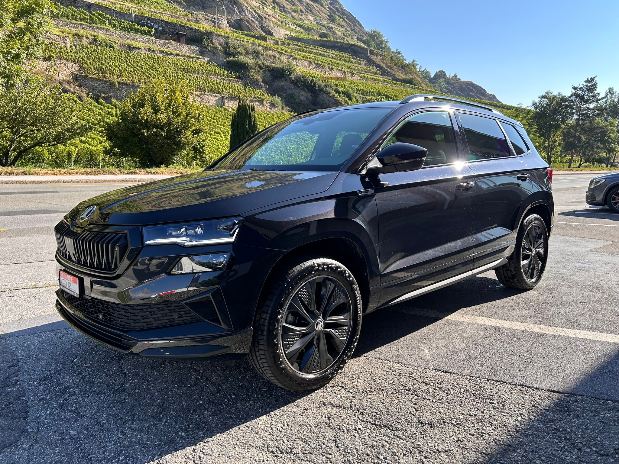 SKODA Karoq 2.0 TSI SportLine 4x4 DSG