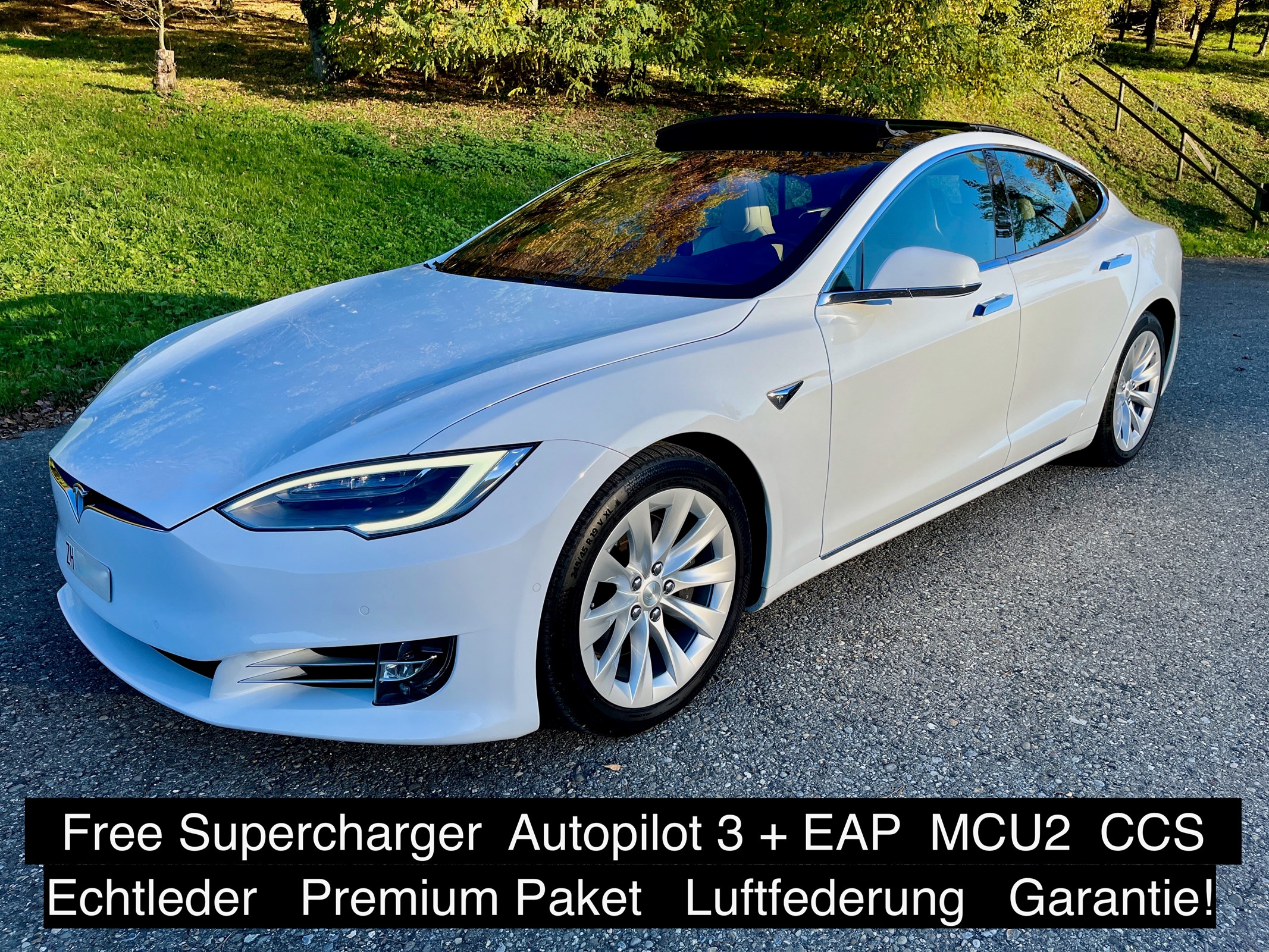 TESLA Model S 75 D