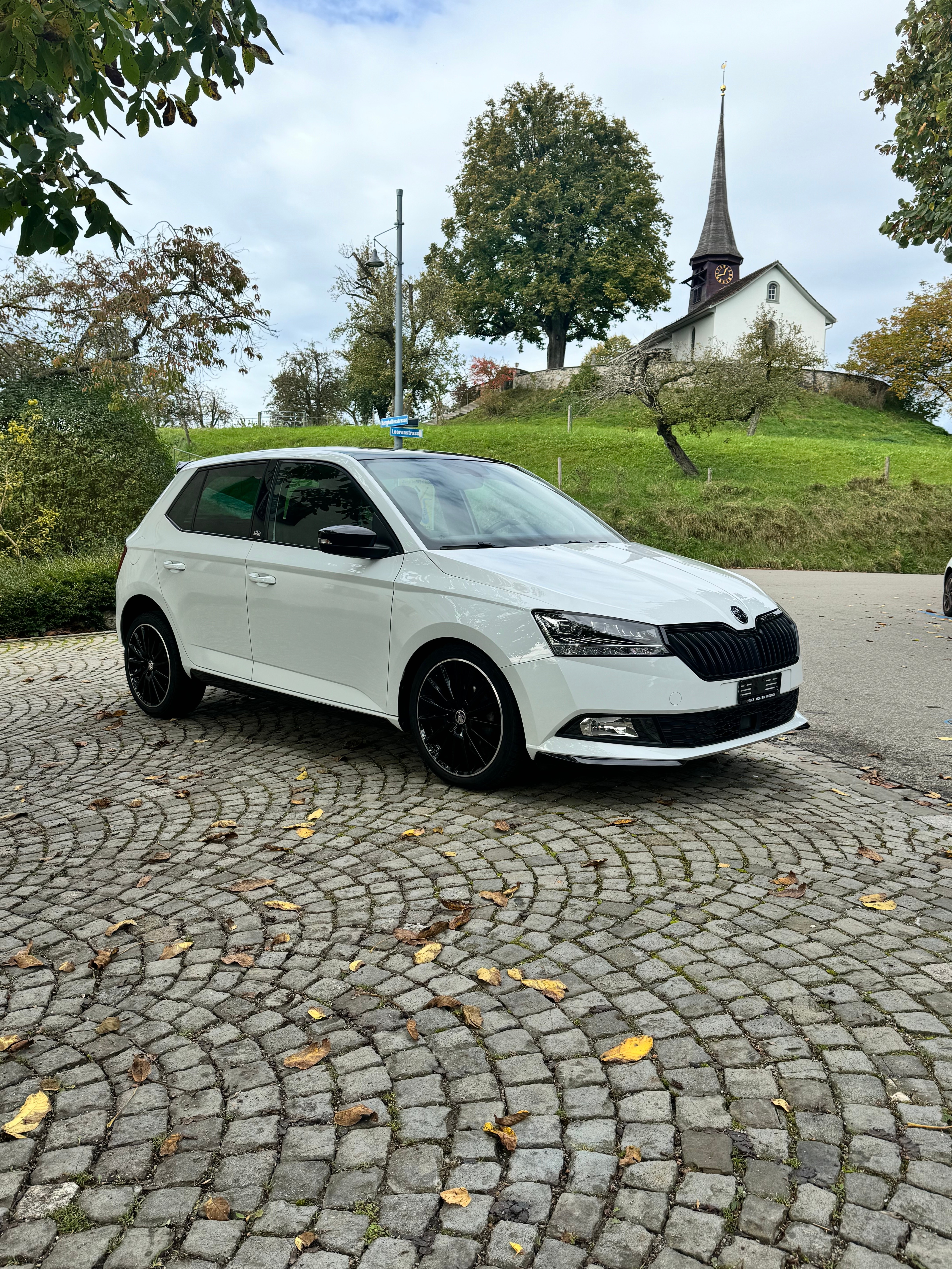 SKODA Fabia 1.0 MPI Monte Carlo