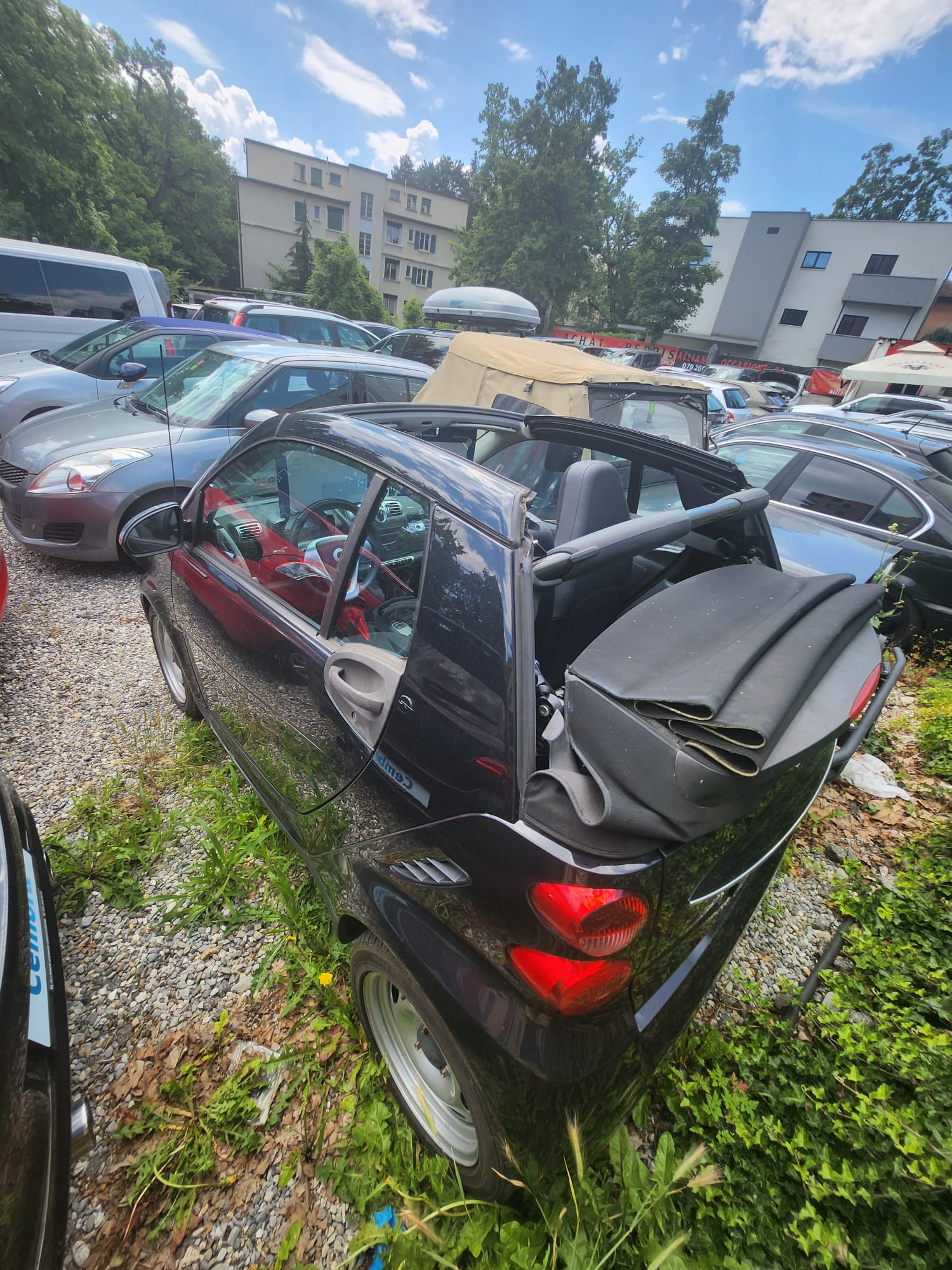 SMART fortwo pulse softouch