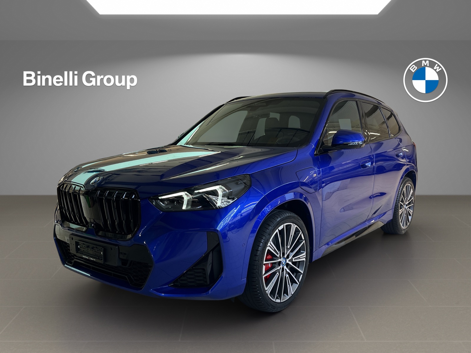 BMW X1 xDrive 30e M Sport Pro