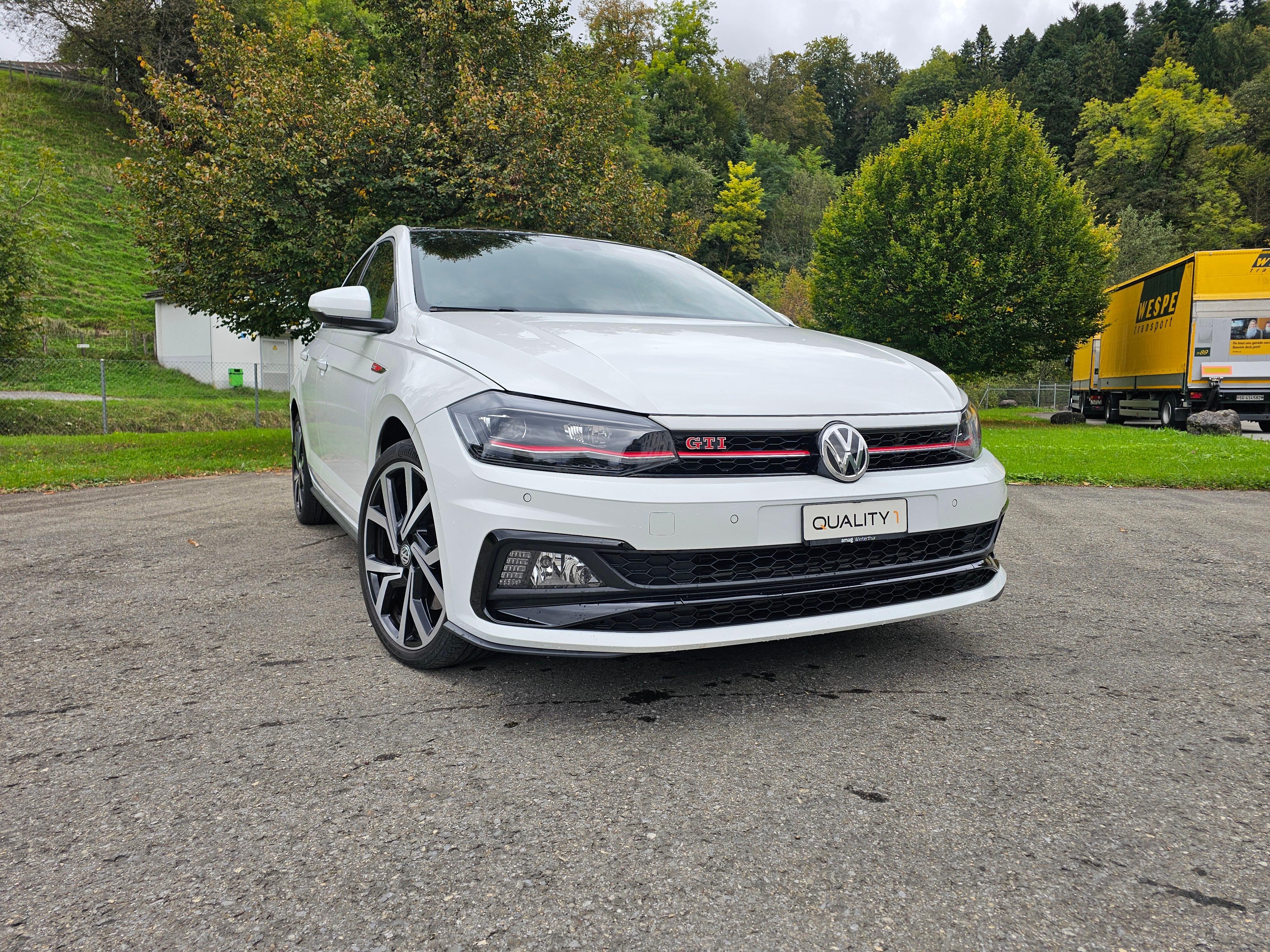 VW Polo 2.0 TSI GTI DSG