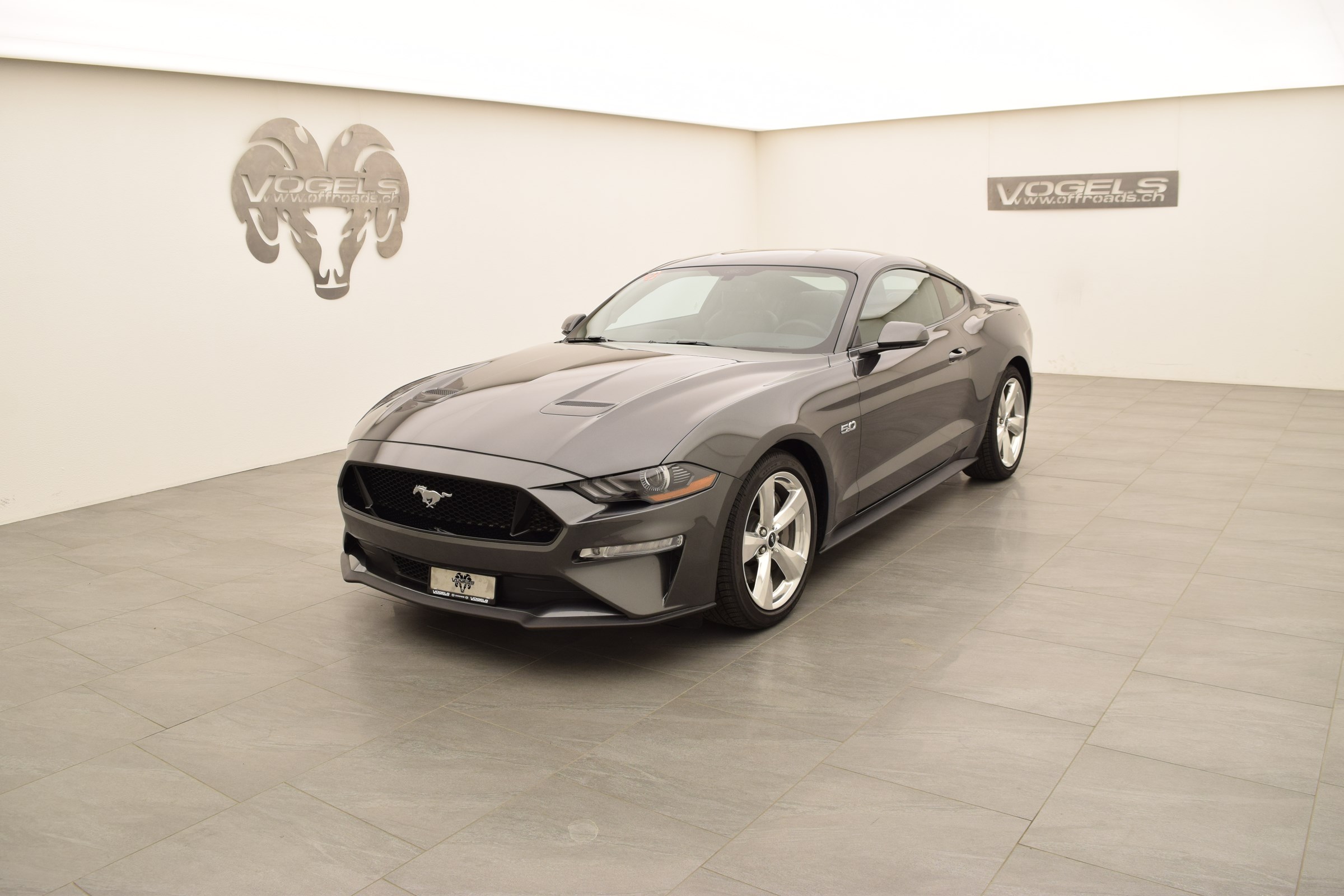 FORD MUSTANG GT 5.0