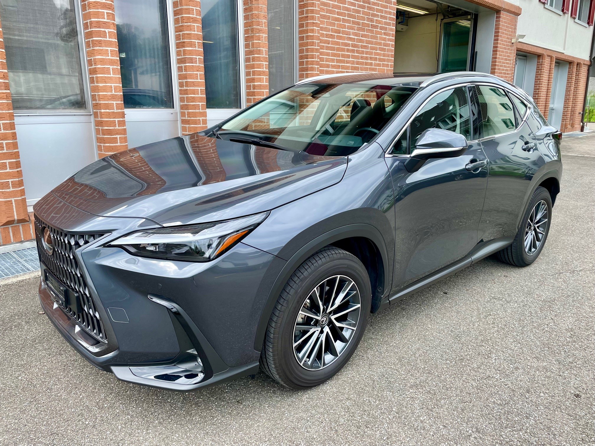 LEXUS NX 350h E-FOUR Business AWD