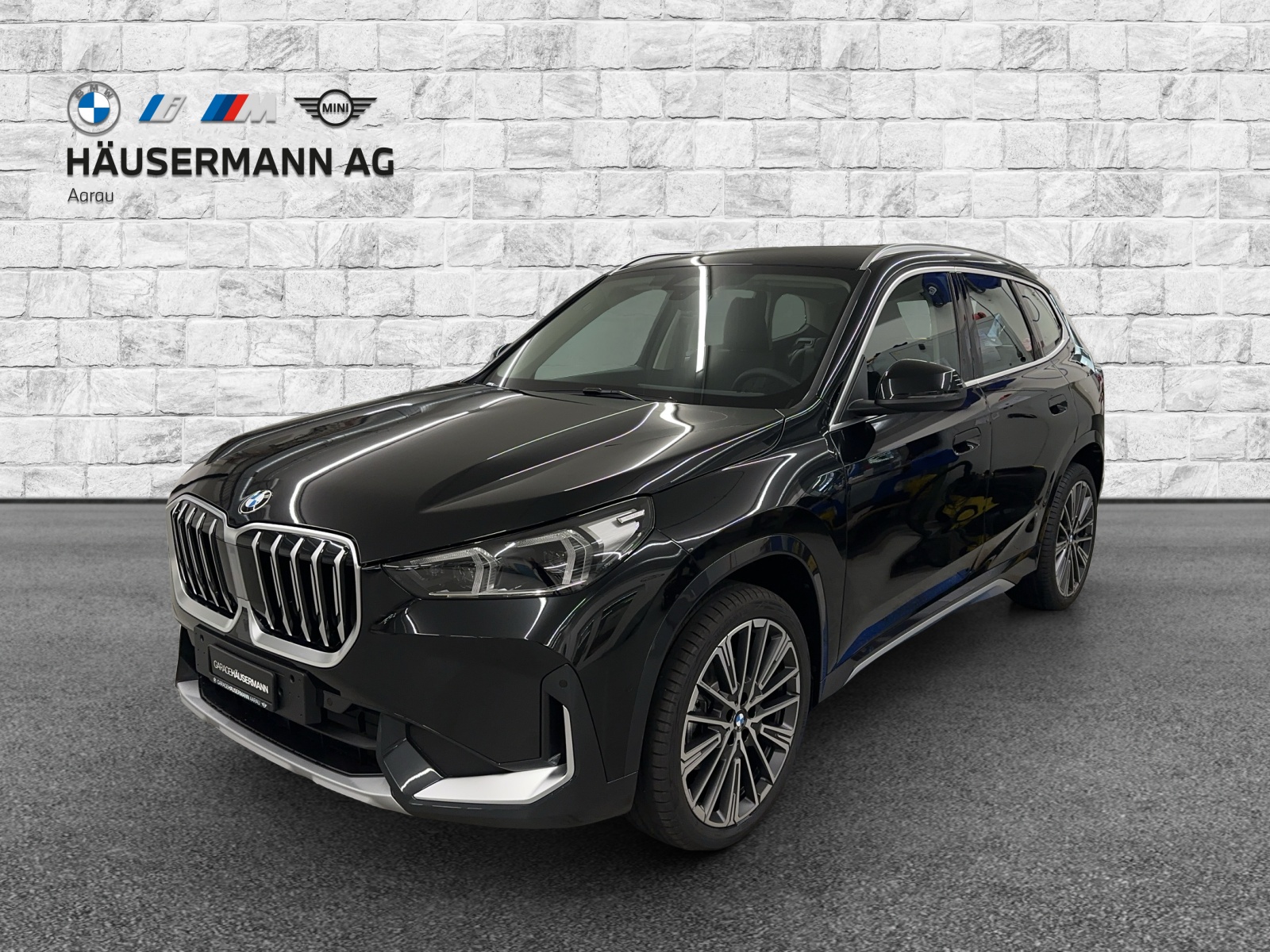 BMW X1 xDrive 20d 48V xLine