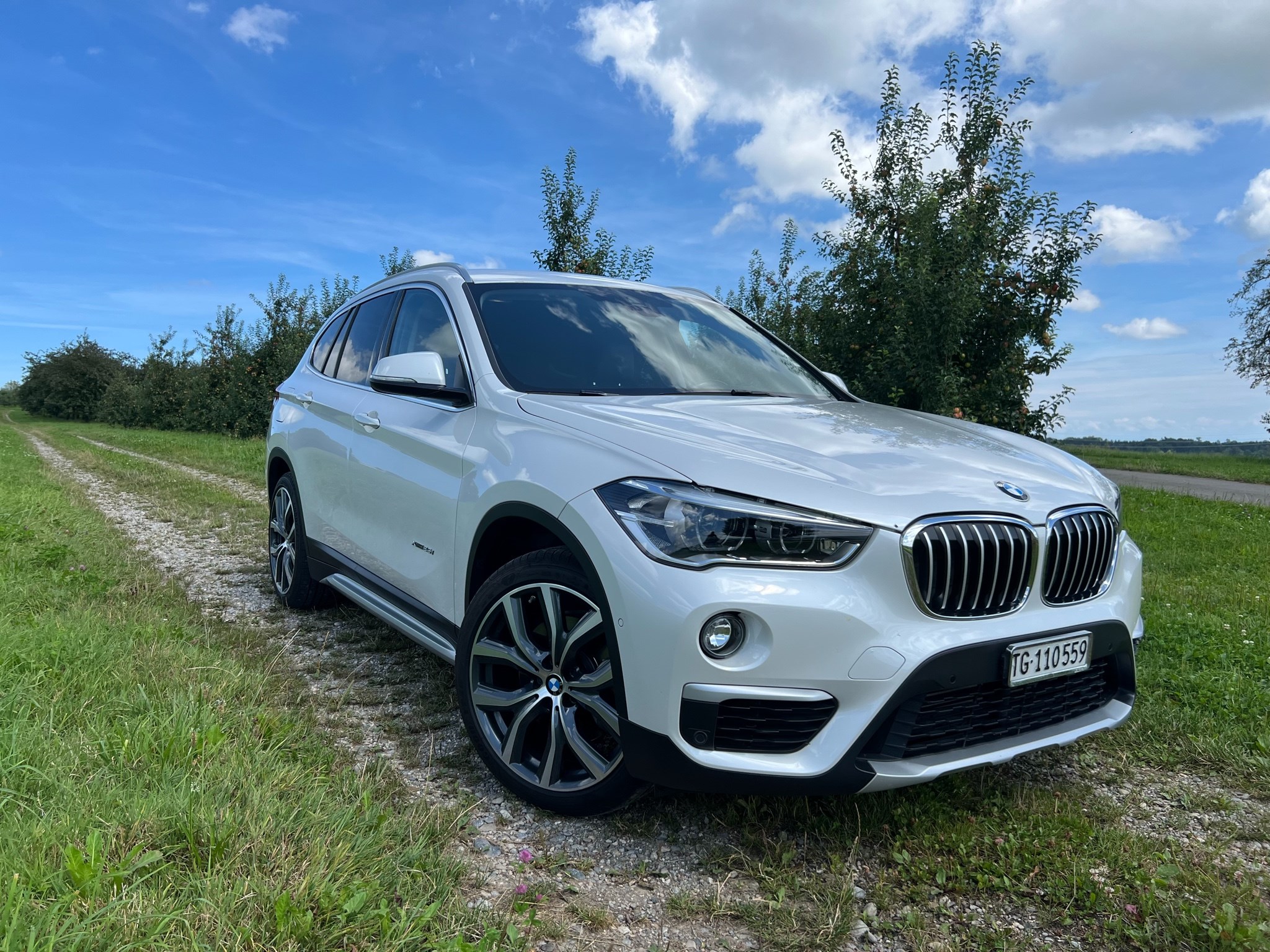 BMW X1 xDrive 25i xLine Steptronic