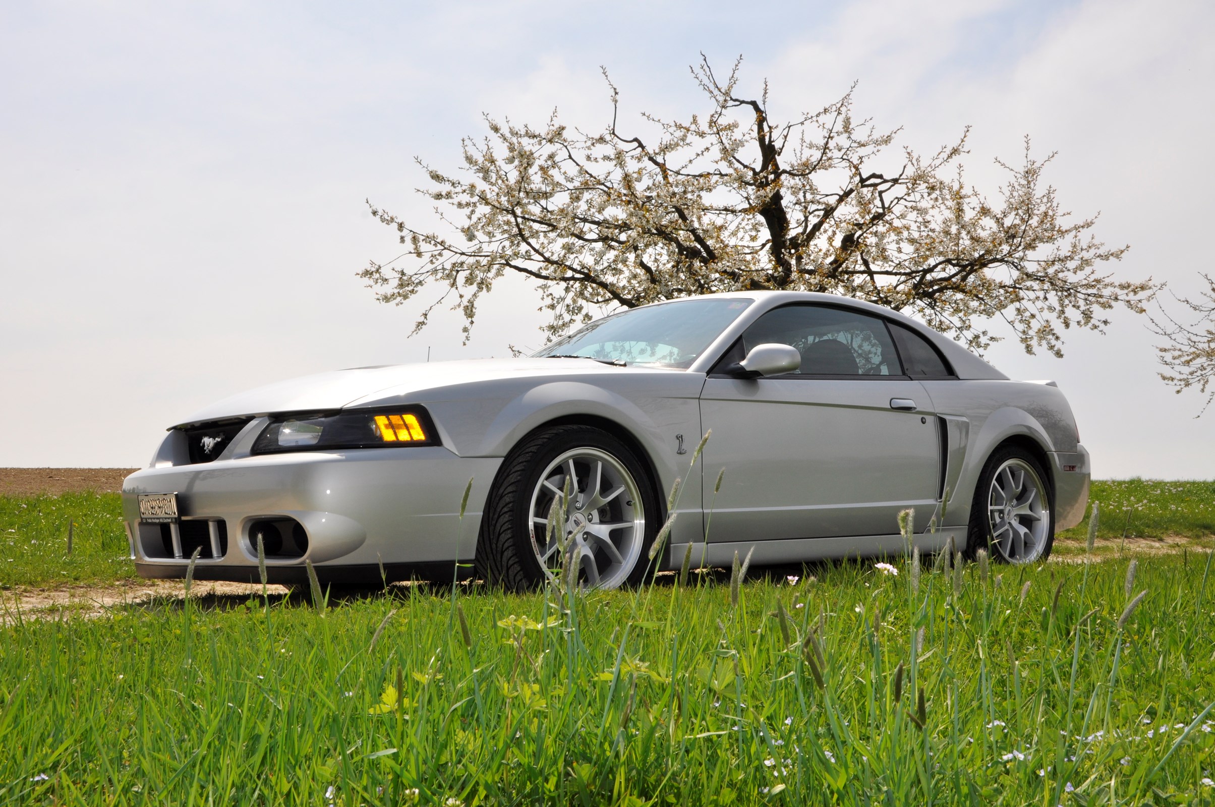 FORD MUSTANG Cobra SVT