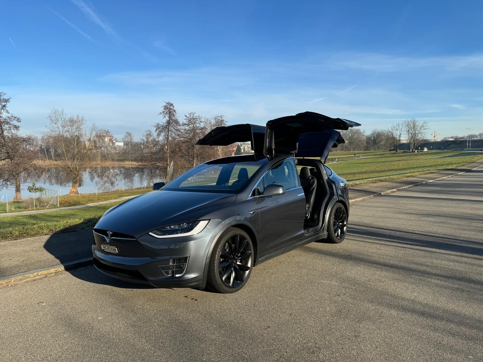 TESLA Model X 100 D