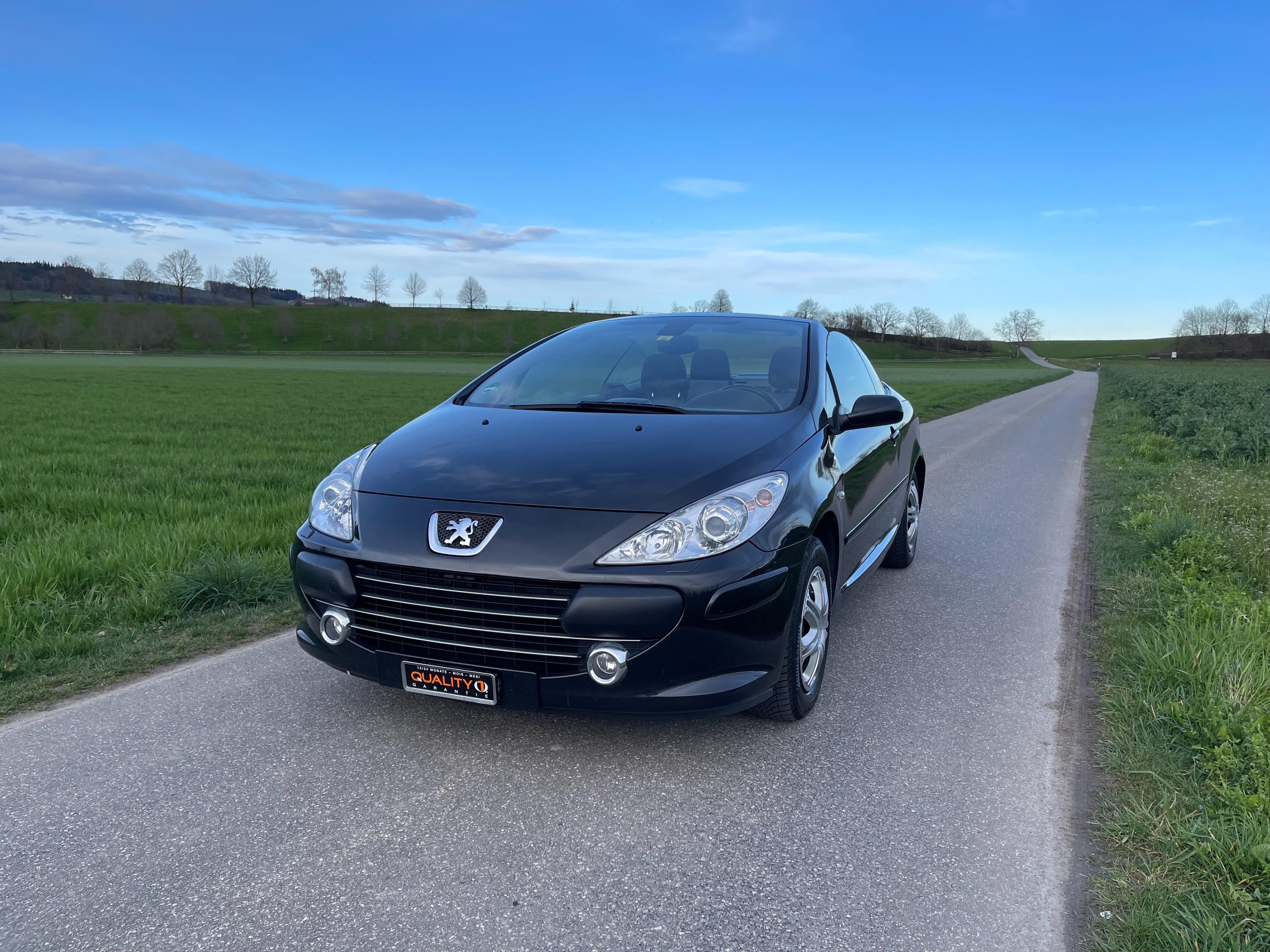 PEUGEOT 307 CC 2.0 16V Dynamic