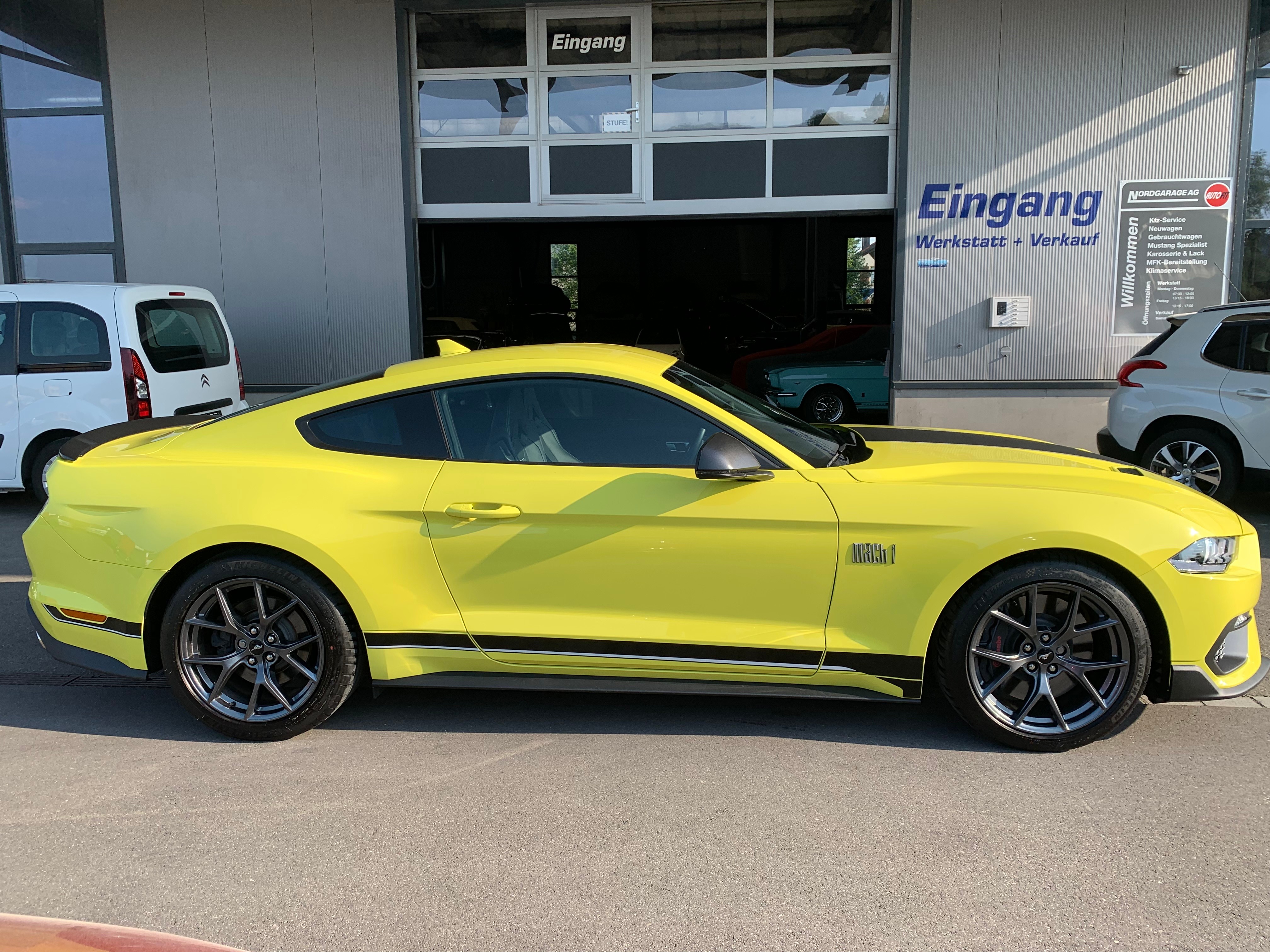 FORD Mustang Fastback 5.0 V8 Mach 1