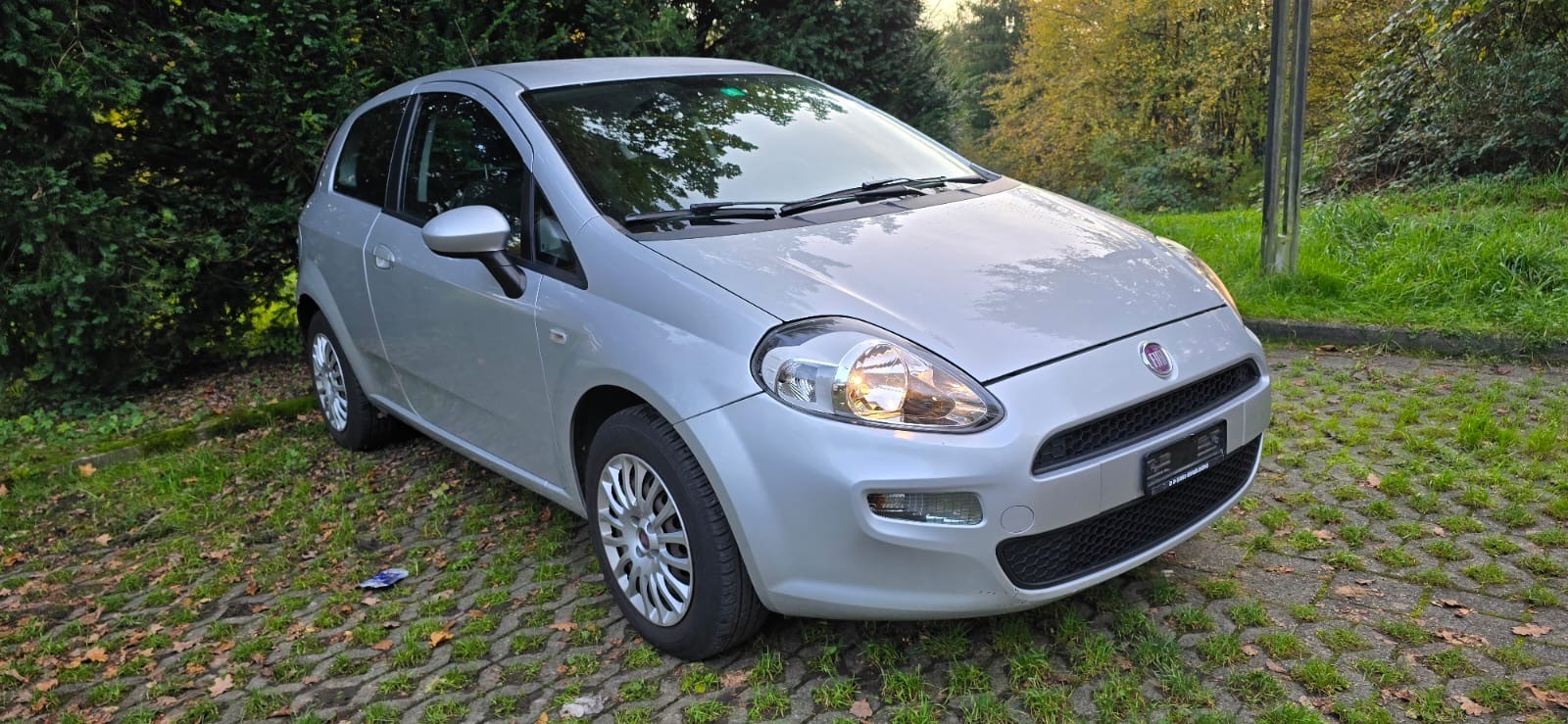 FIAT Punto 1.2 Young