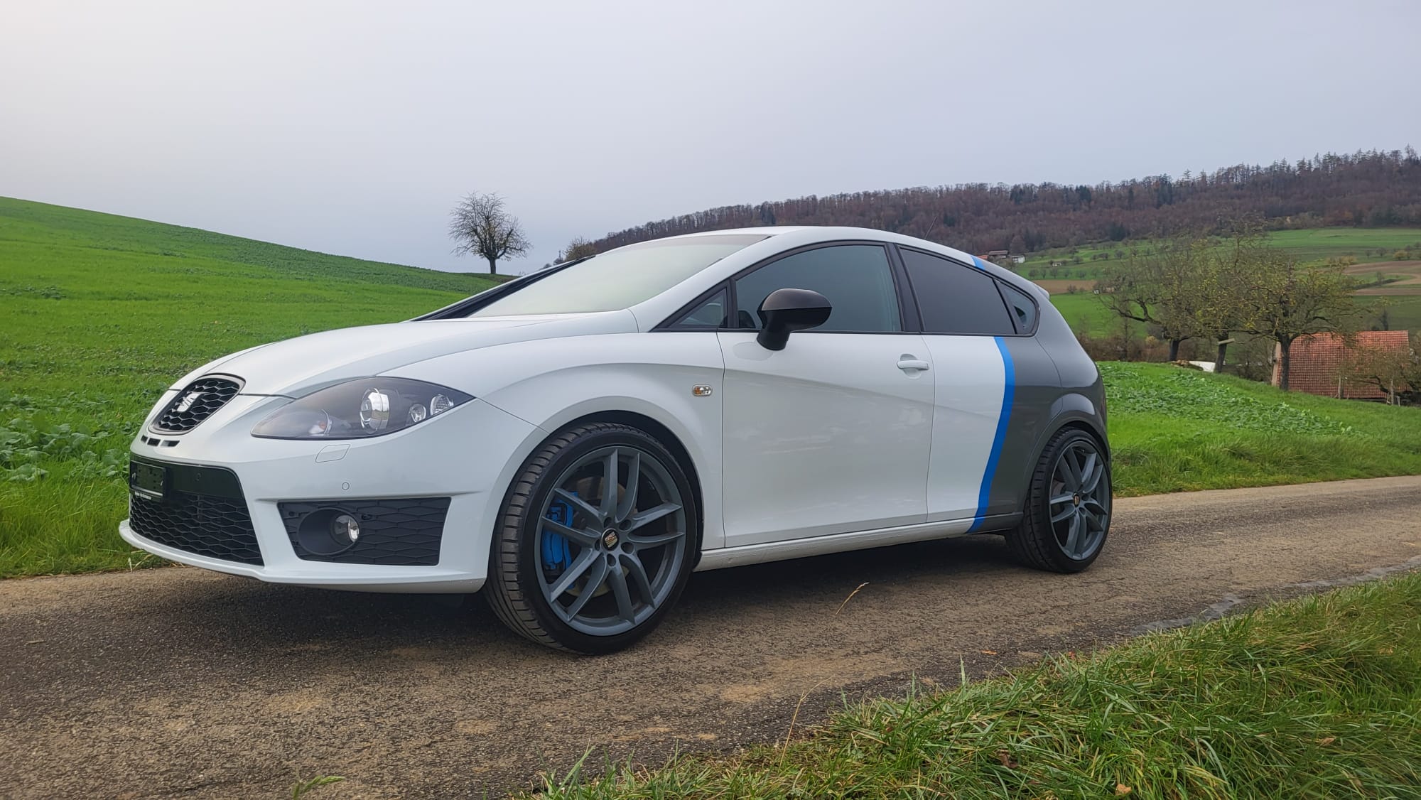 SEAT Leon 2.0 TSI Cupra R310 World Champion Edition