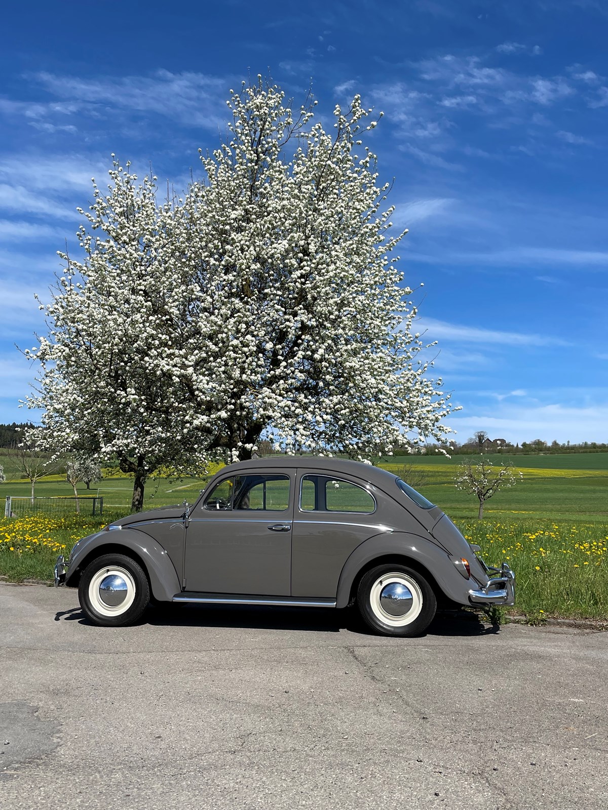 VW Käfer Typ 11-113 Preis verhandelbar