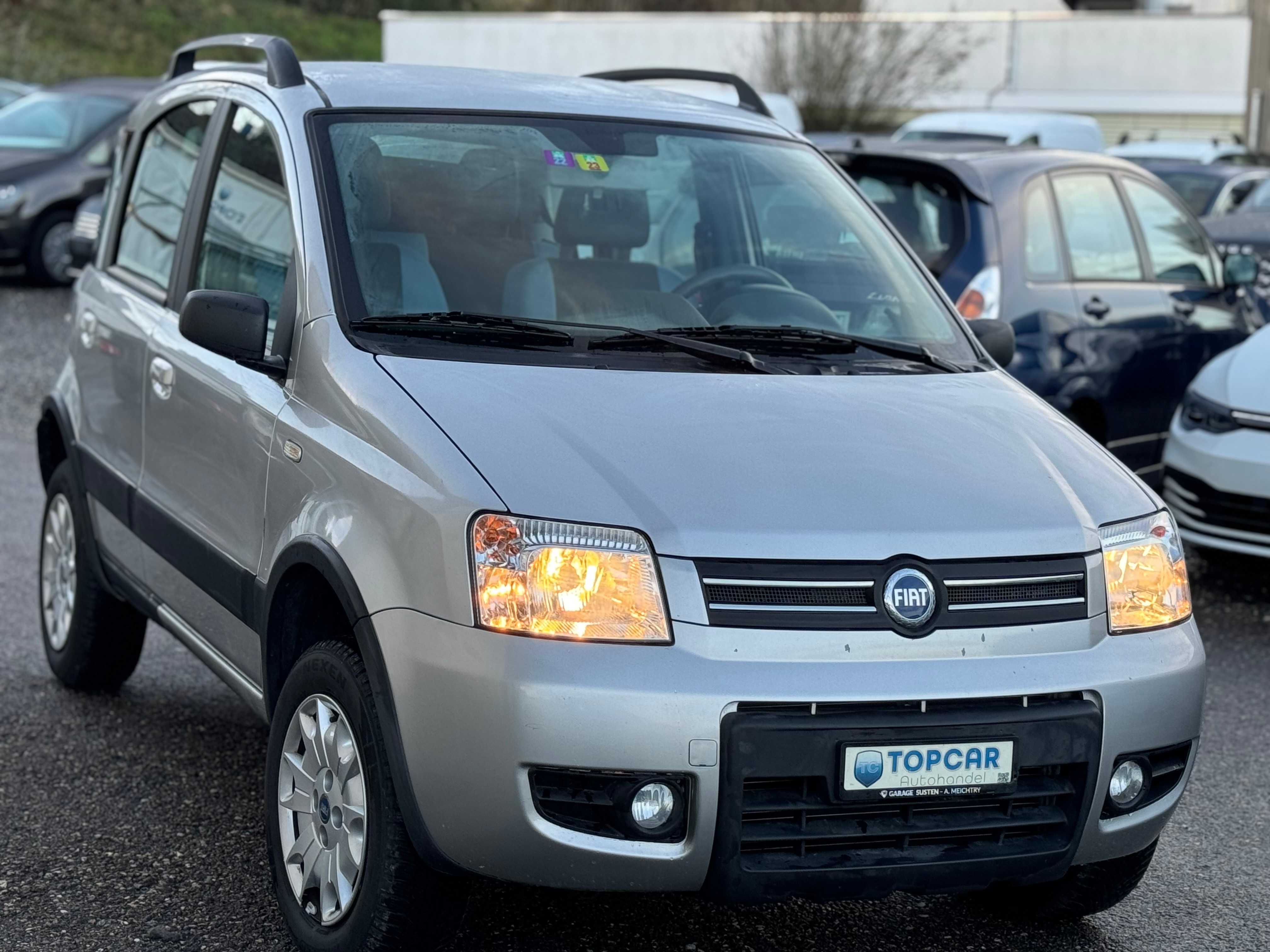 FIAT Panda 1.3 16V JTD 4x4 (Trekking)